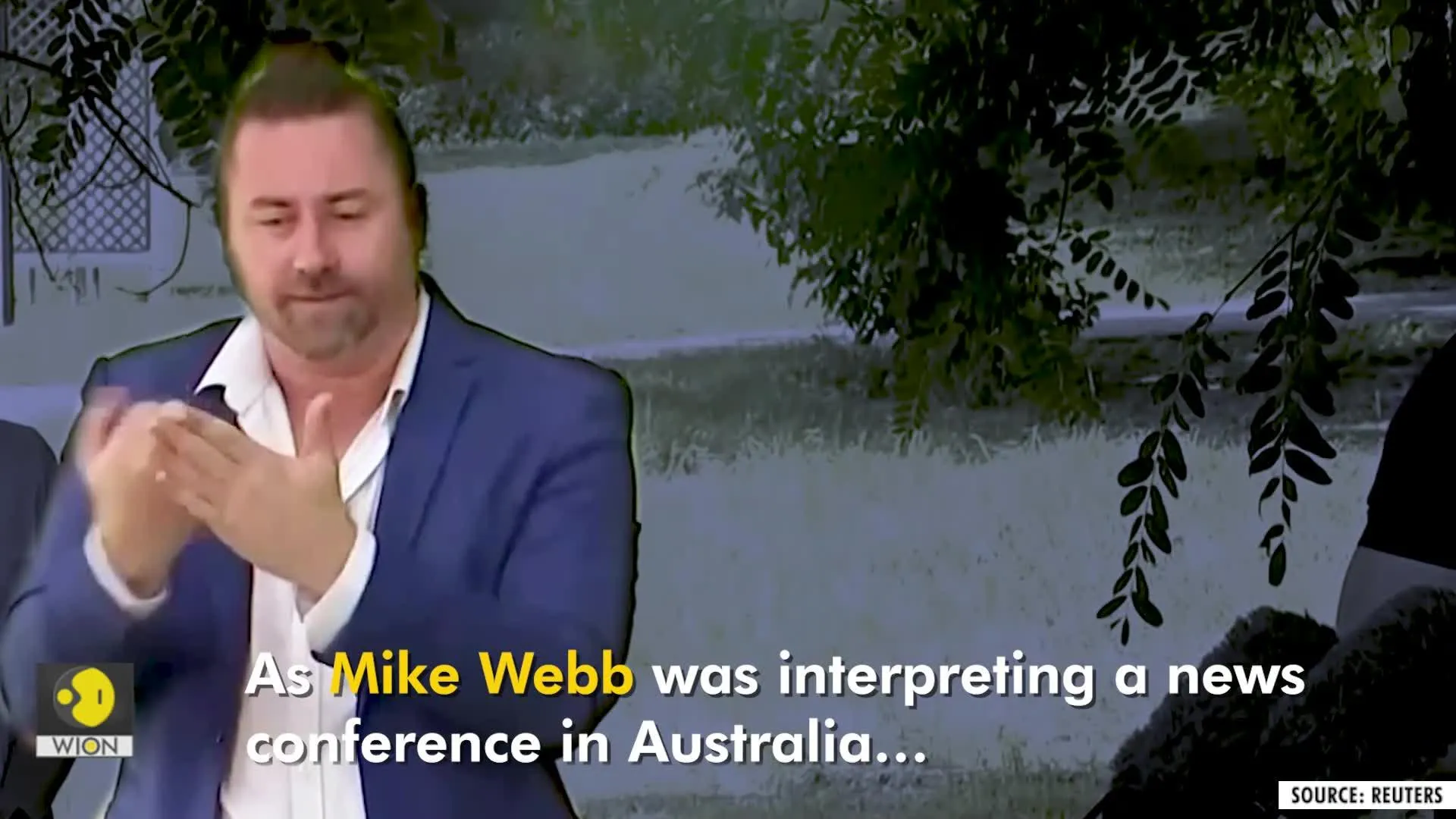 Watch how owl interrupted news interpreter in Australia mid-conference