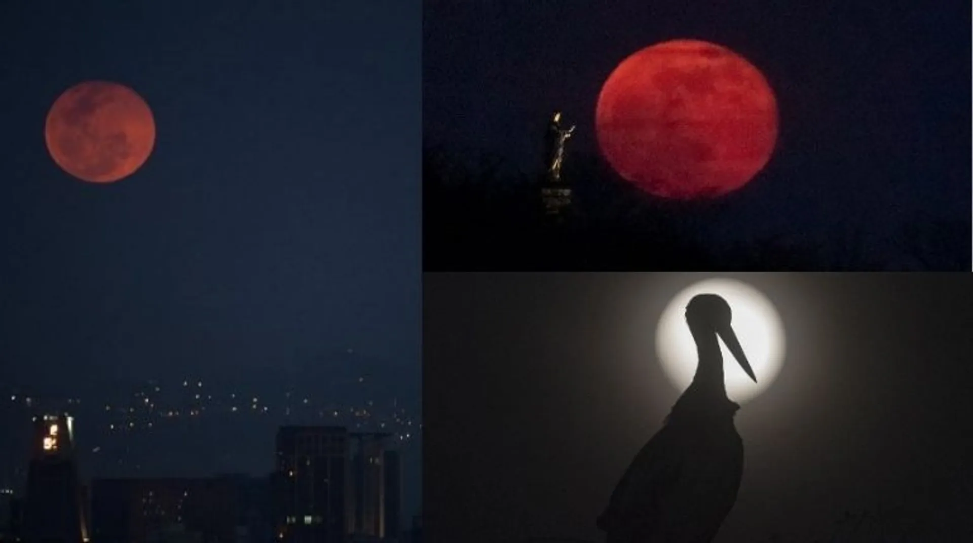 Pink Moon 2022: Where to watch and what it means!