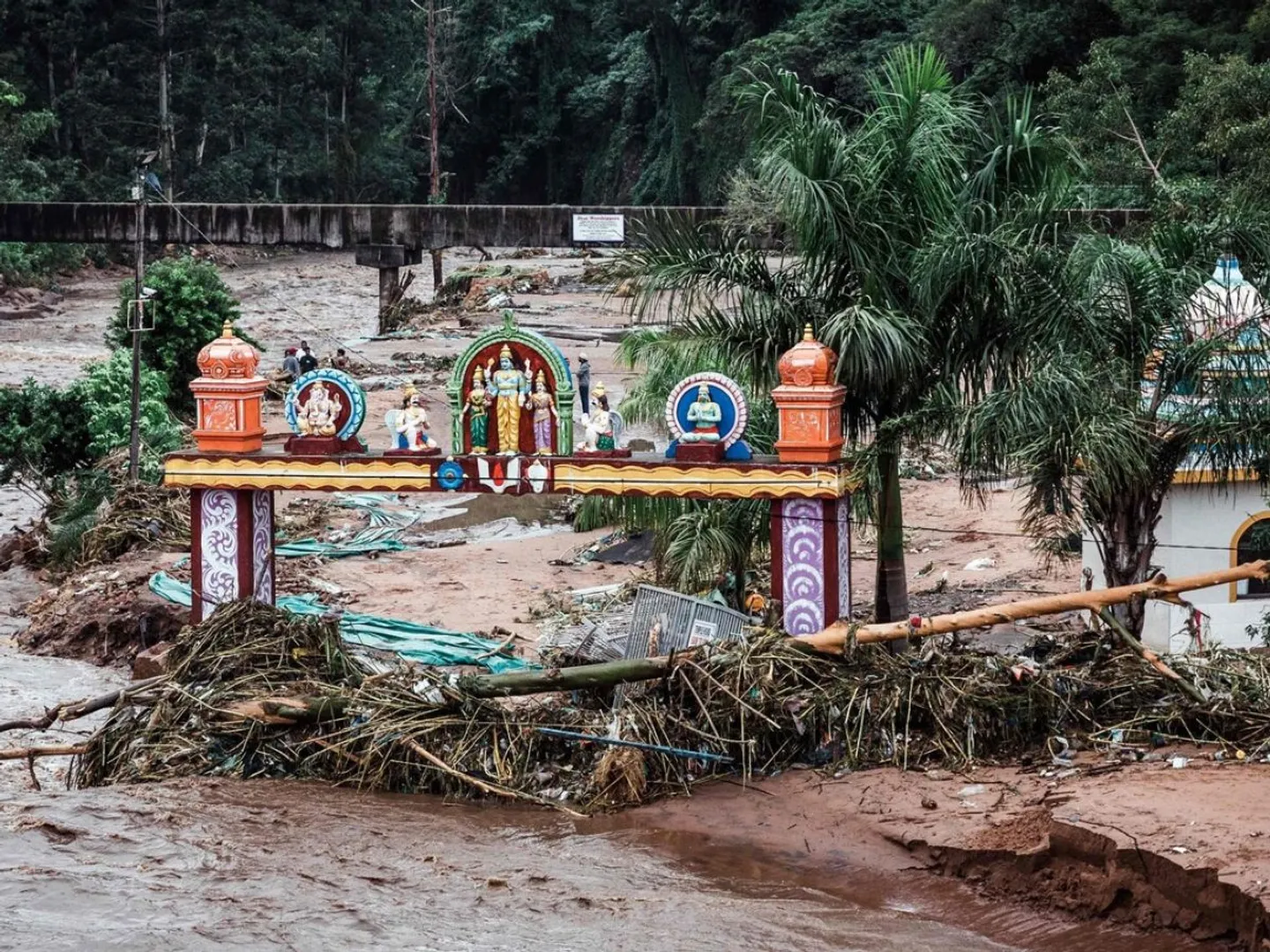 Flash floods wreak havoc in South Africa, govt announces $68 mn of funding