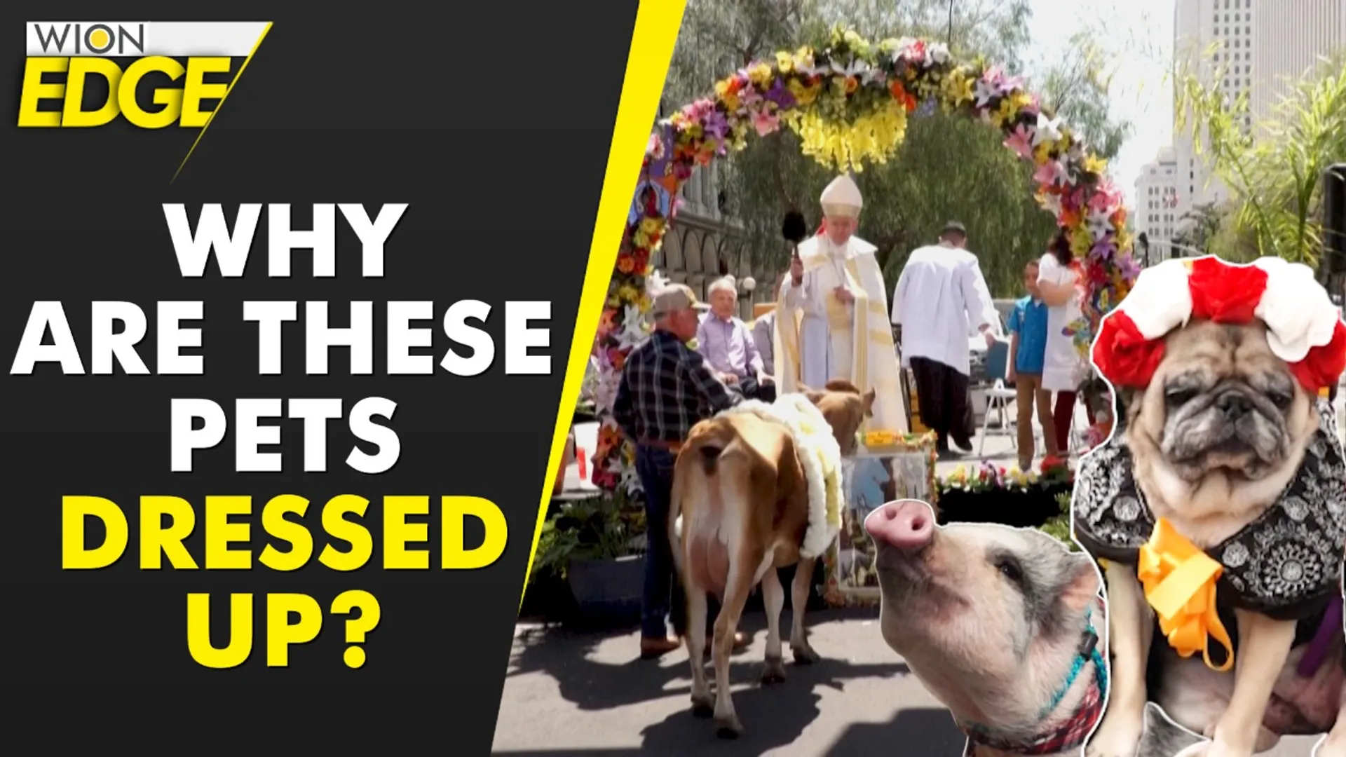 Easter blessings for the pets!