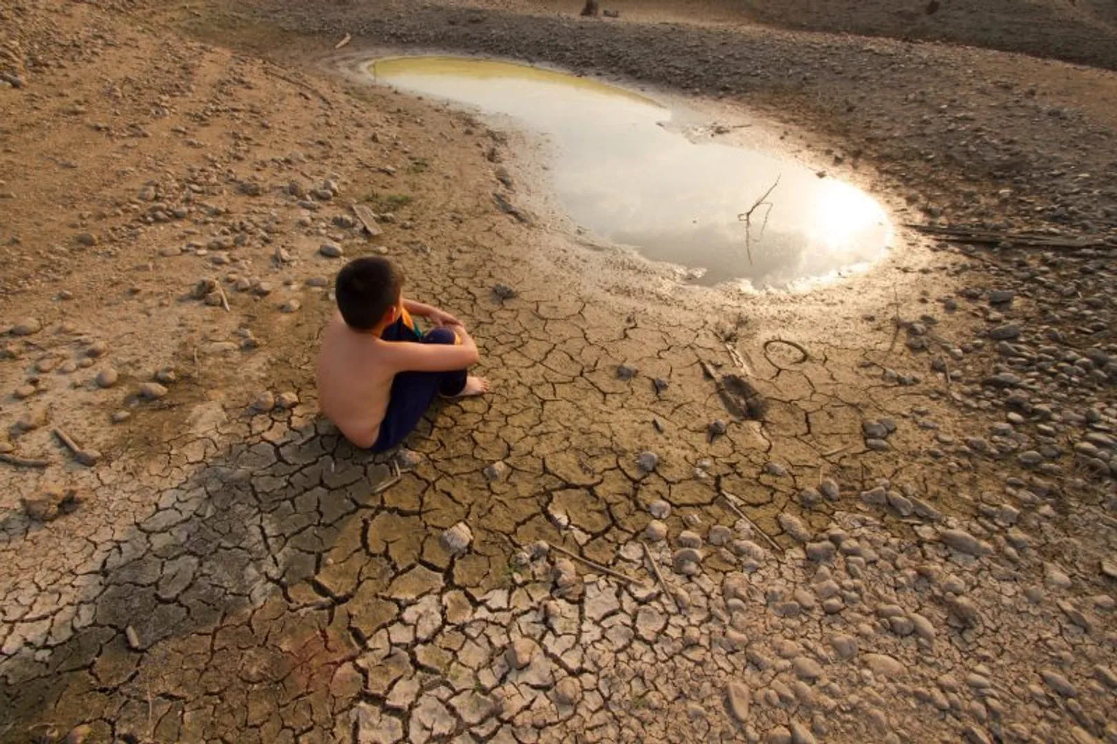 WION Climate Tracker: Once a fertile land, Jordan is now turning into a dessert