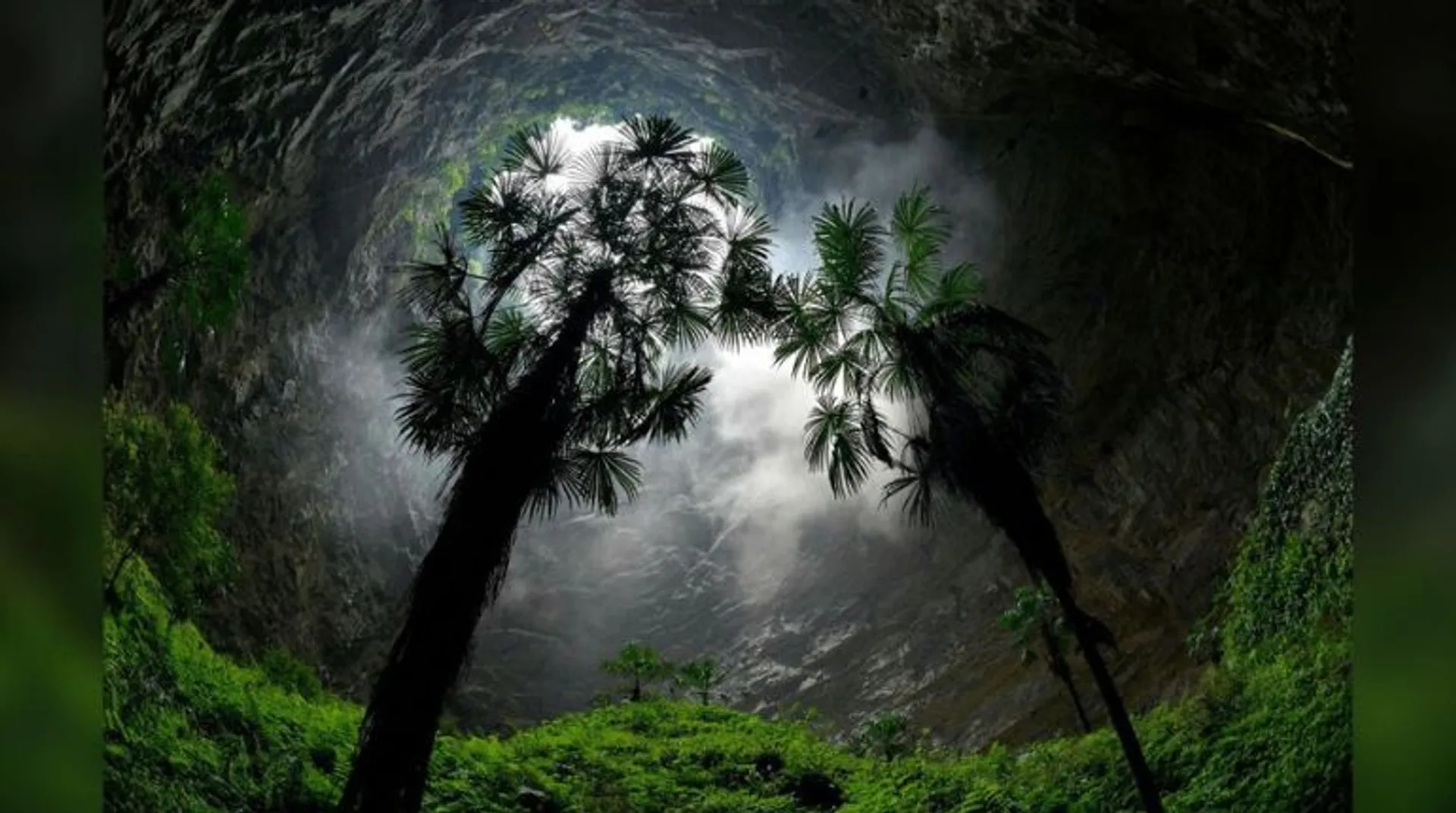 Believe it or not: 630-feet-deep sinkhole with forest at its end discovered in China, says report