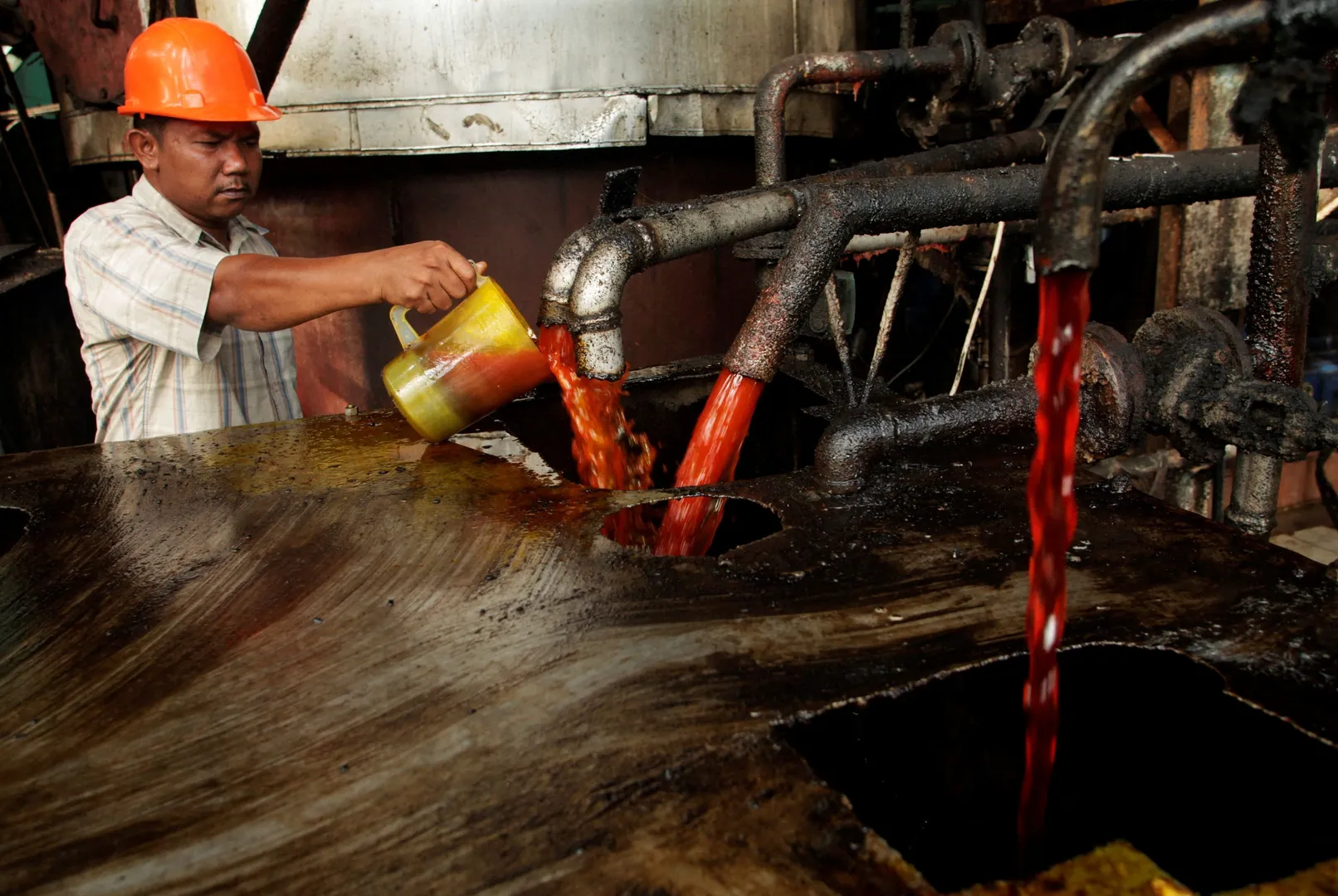 Top 10 world news: Indonesia lifts palm oil export ban, UK's 1st active gay footballer and more