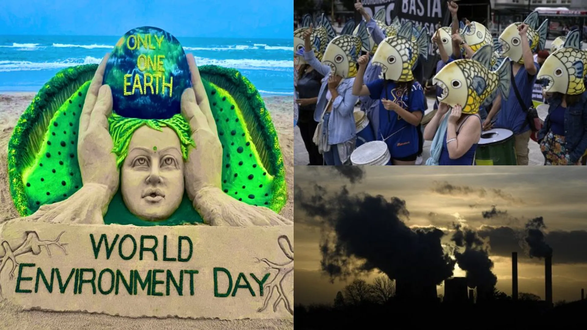 In pics: People across the globe observe World Environment Day