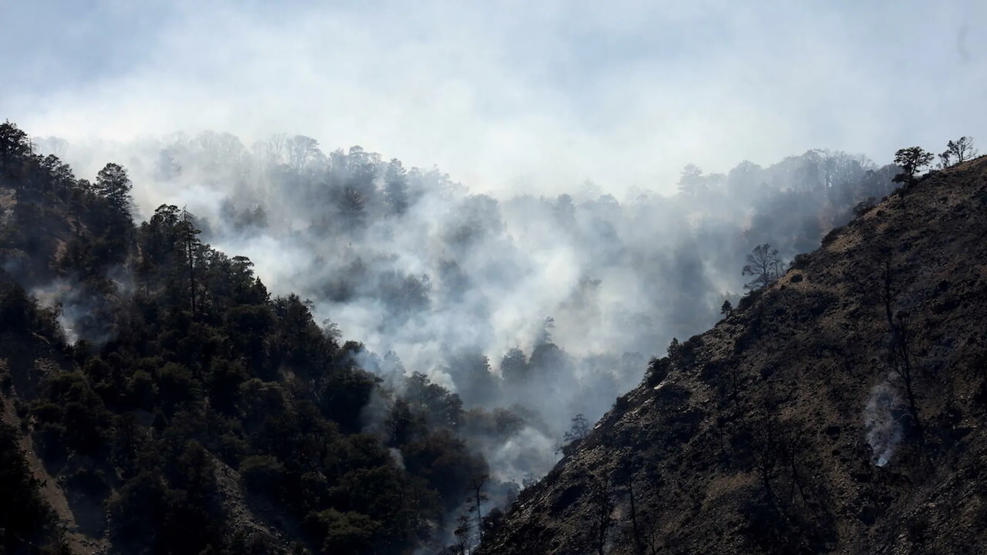 China's aerosol reduction measures warming Pacific region, finds study