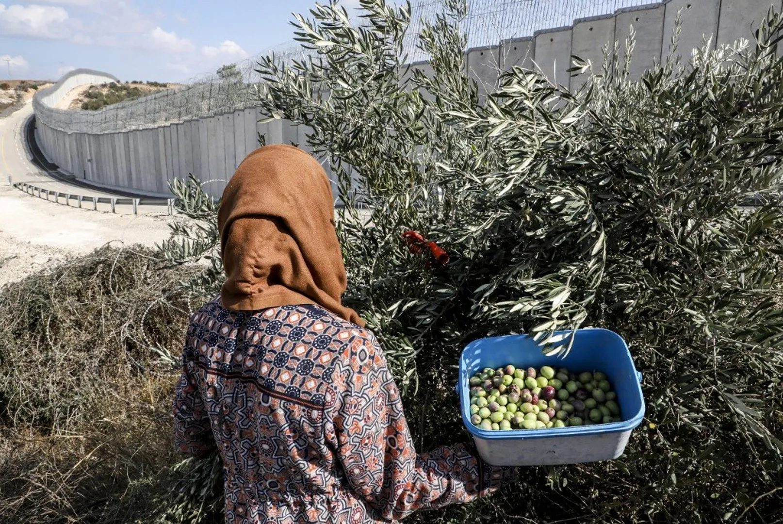 Worldâs earliest domestication of fruit trees took place 7,000 years ago in Jordan: Study