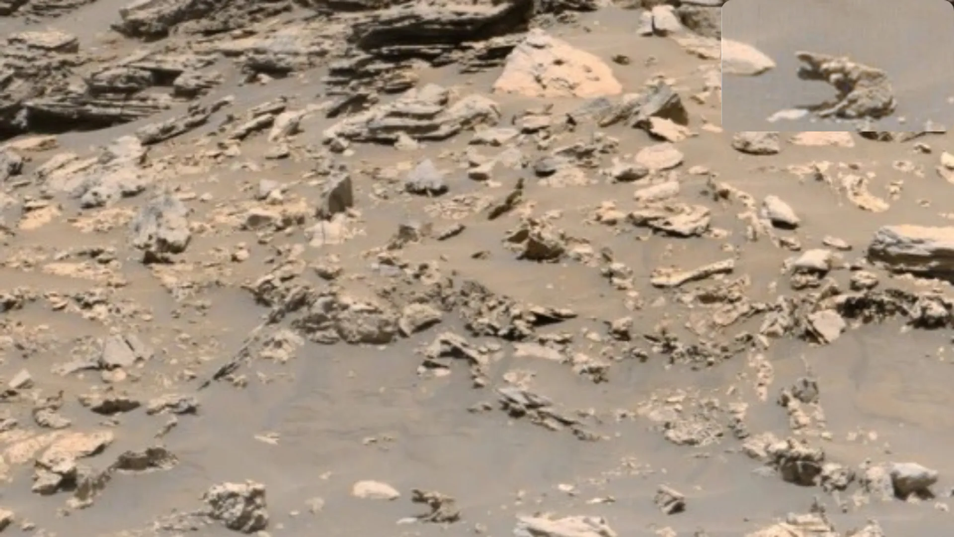UFO expert claims to have spotted âweird elephant-like creatureâ on Mars