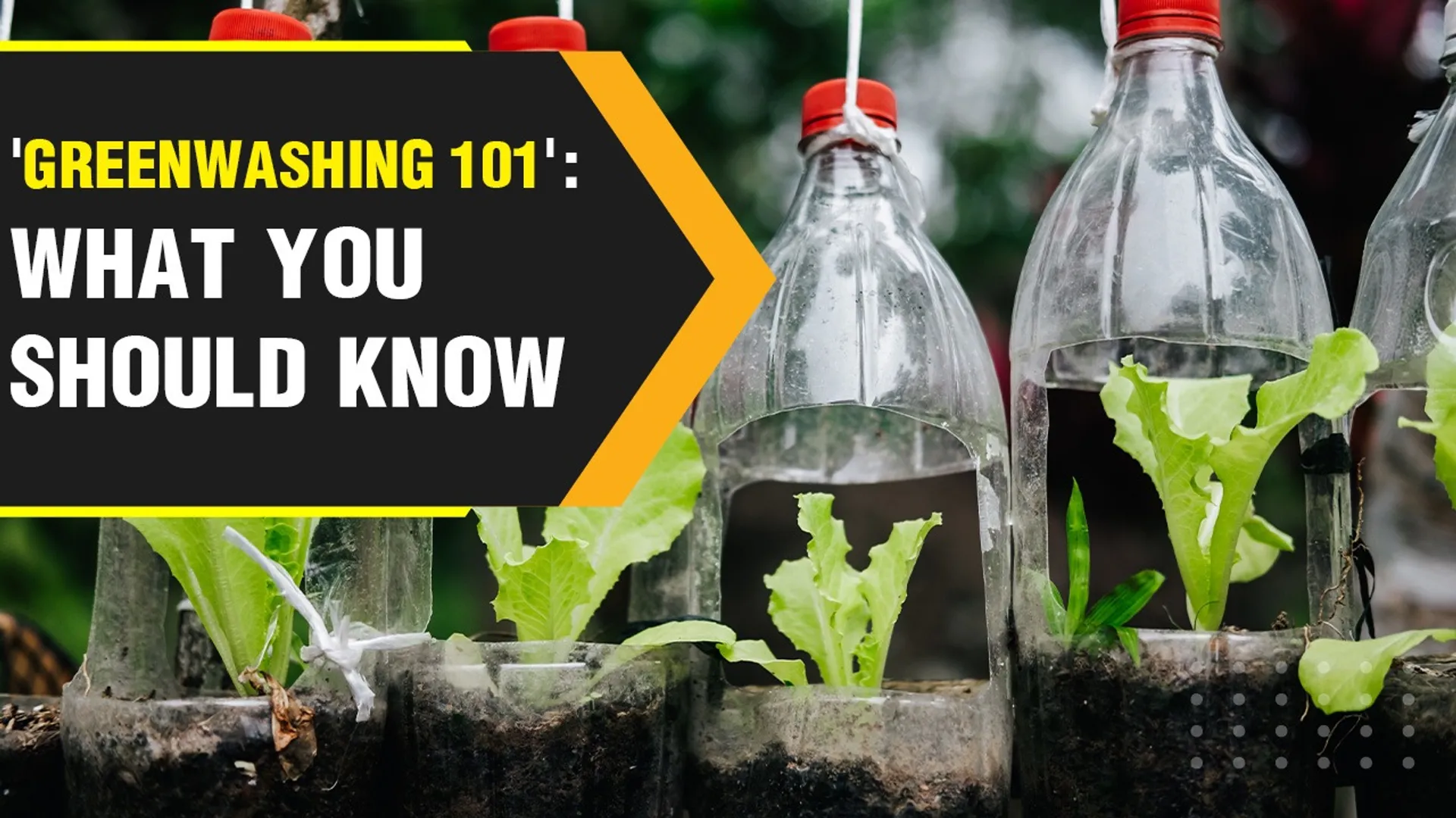 What is greenwashing, the practice major companies are accused of engaging in?