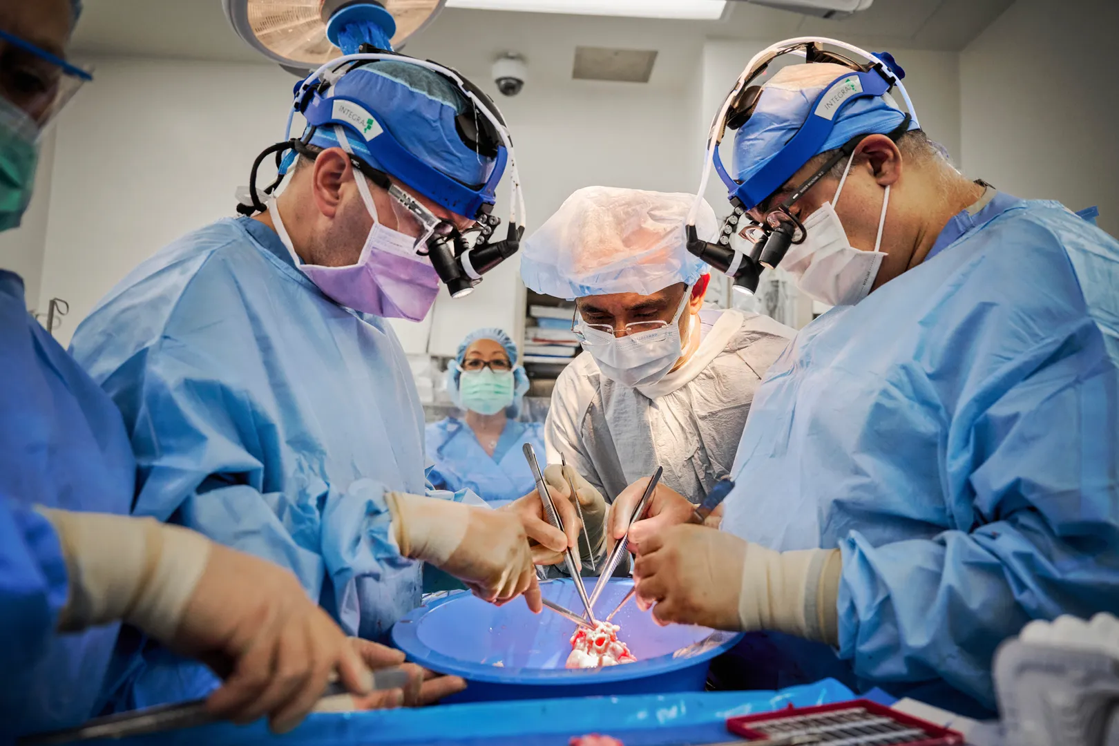 Two more pig hearts successfully transplanted into humans- effort to make up for human organs shortage