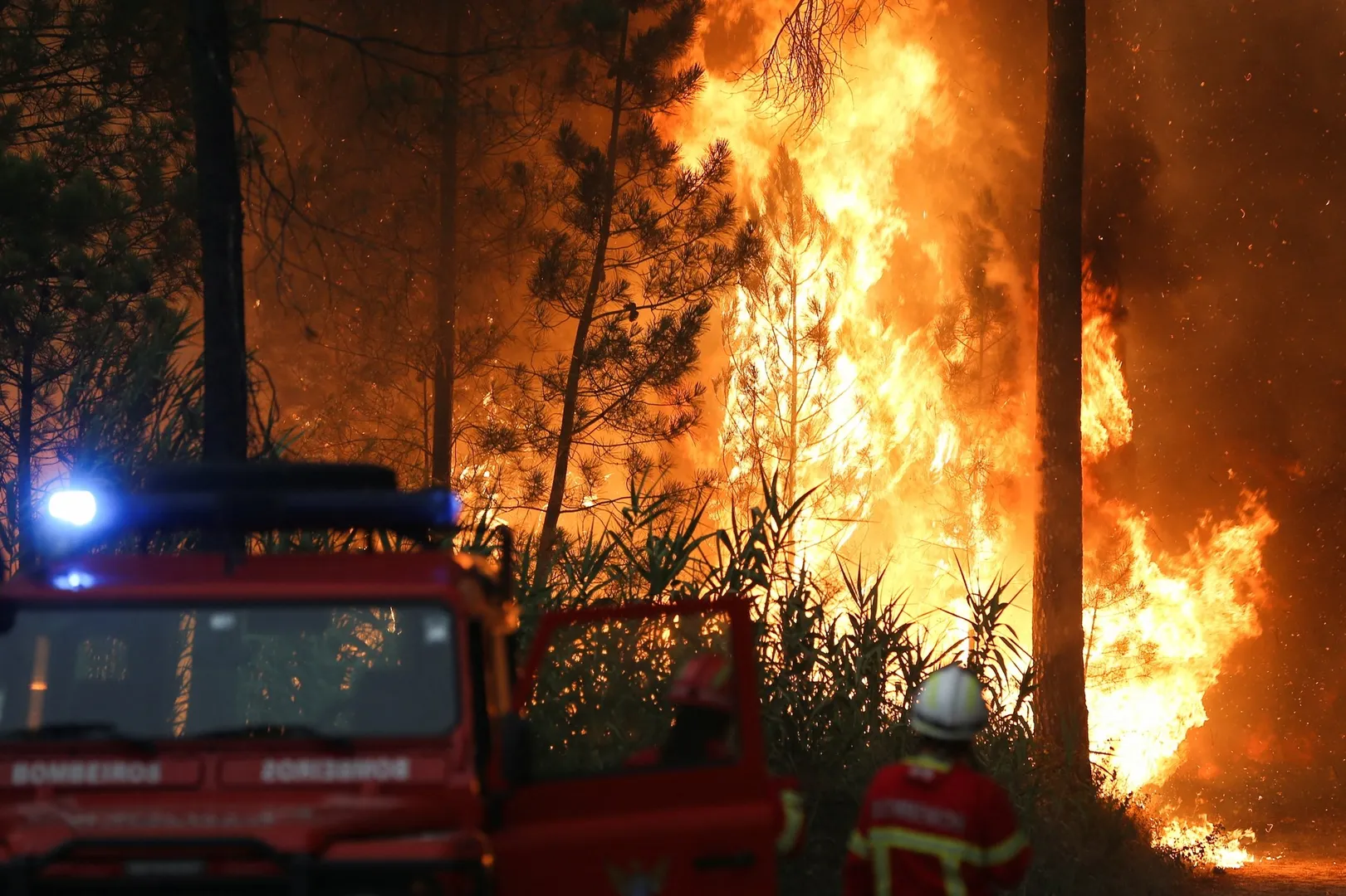 WION Climate Tracker: Western Europe sweltering in extreme heat | 20 wildfires across Portugal