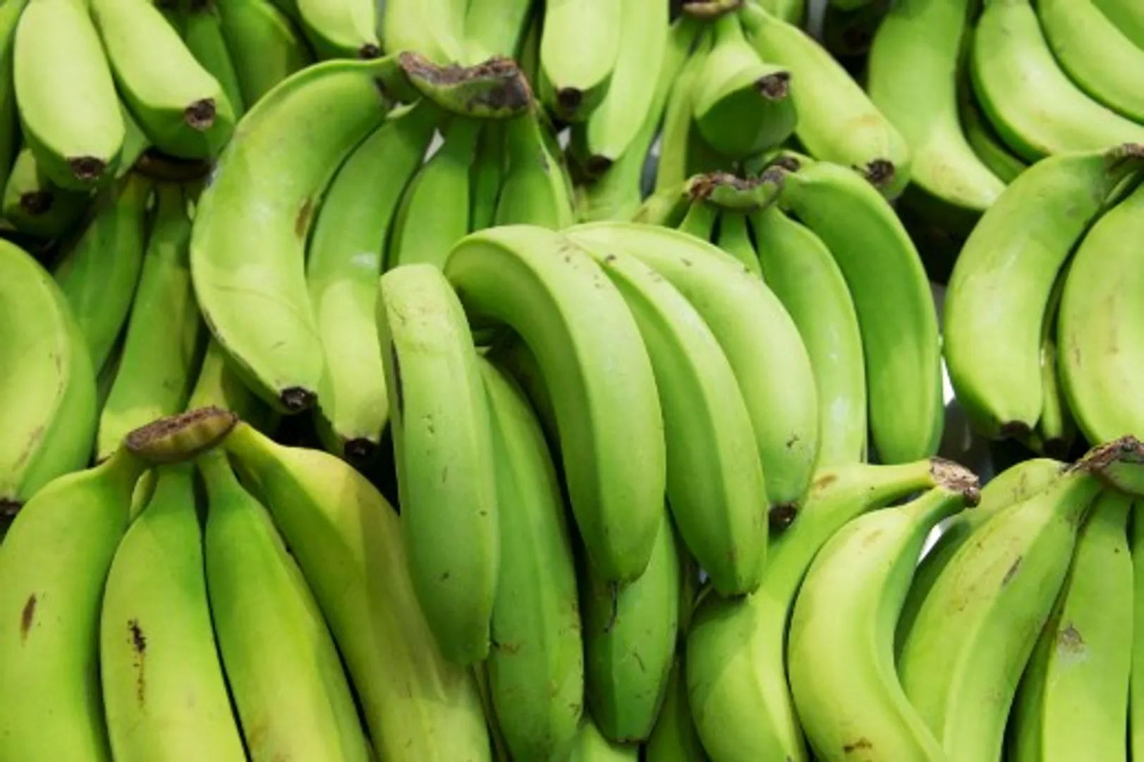 Good news! Starchy green bananas can reduce risk of cancer, study finds