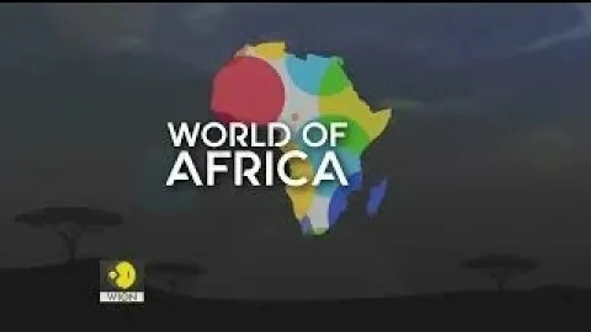 World Of Africa: Rhinos find a new home in South Africa