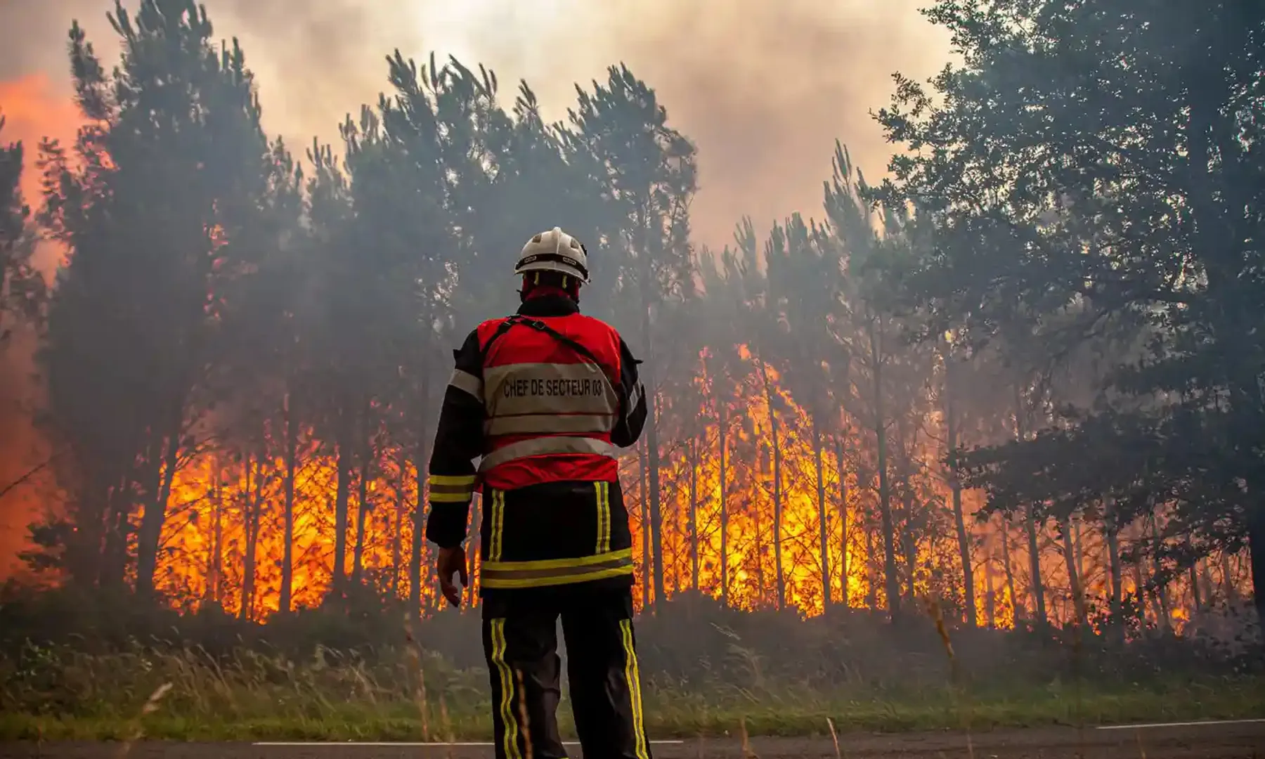 2022 sets record fire activity in southwest Europe: EU