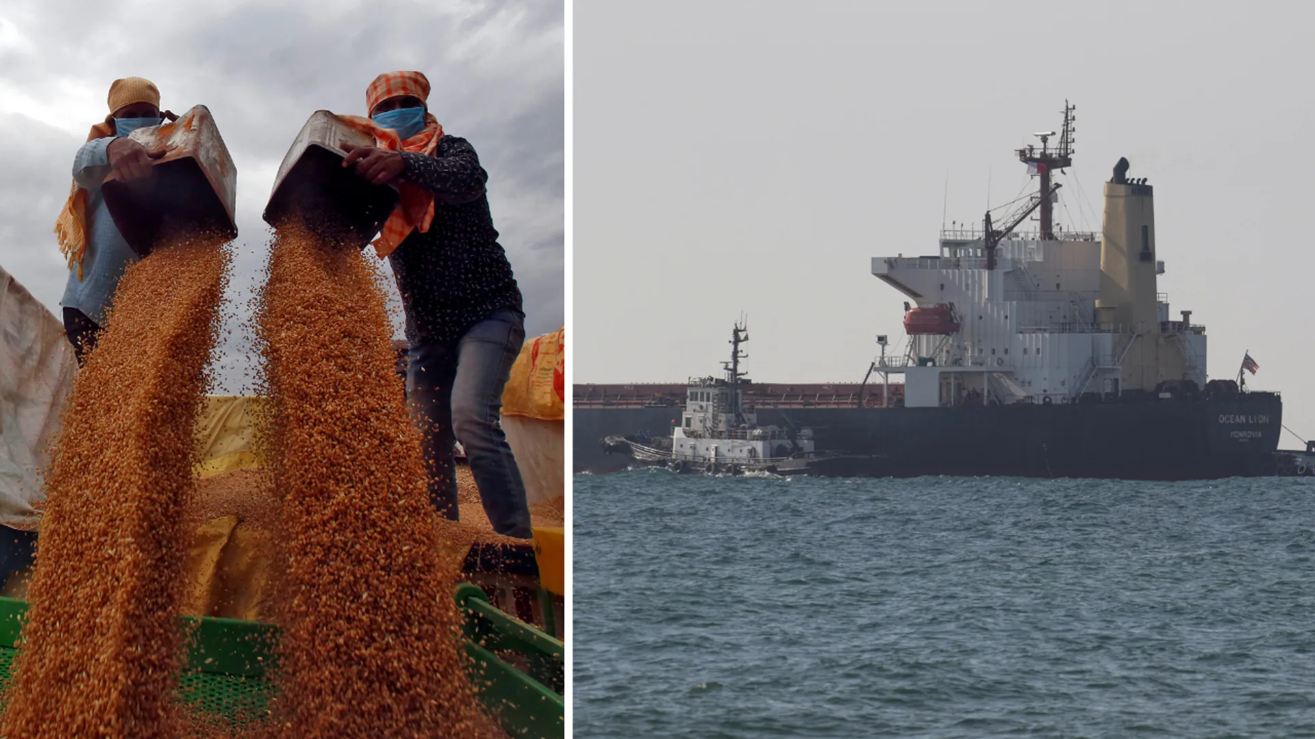 Explainer: How to crease out Ukraine grain deal to ease global food crisis