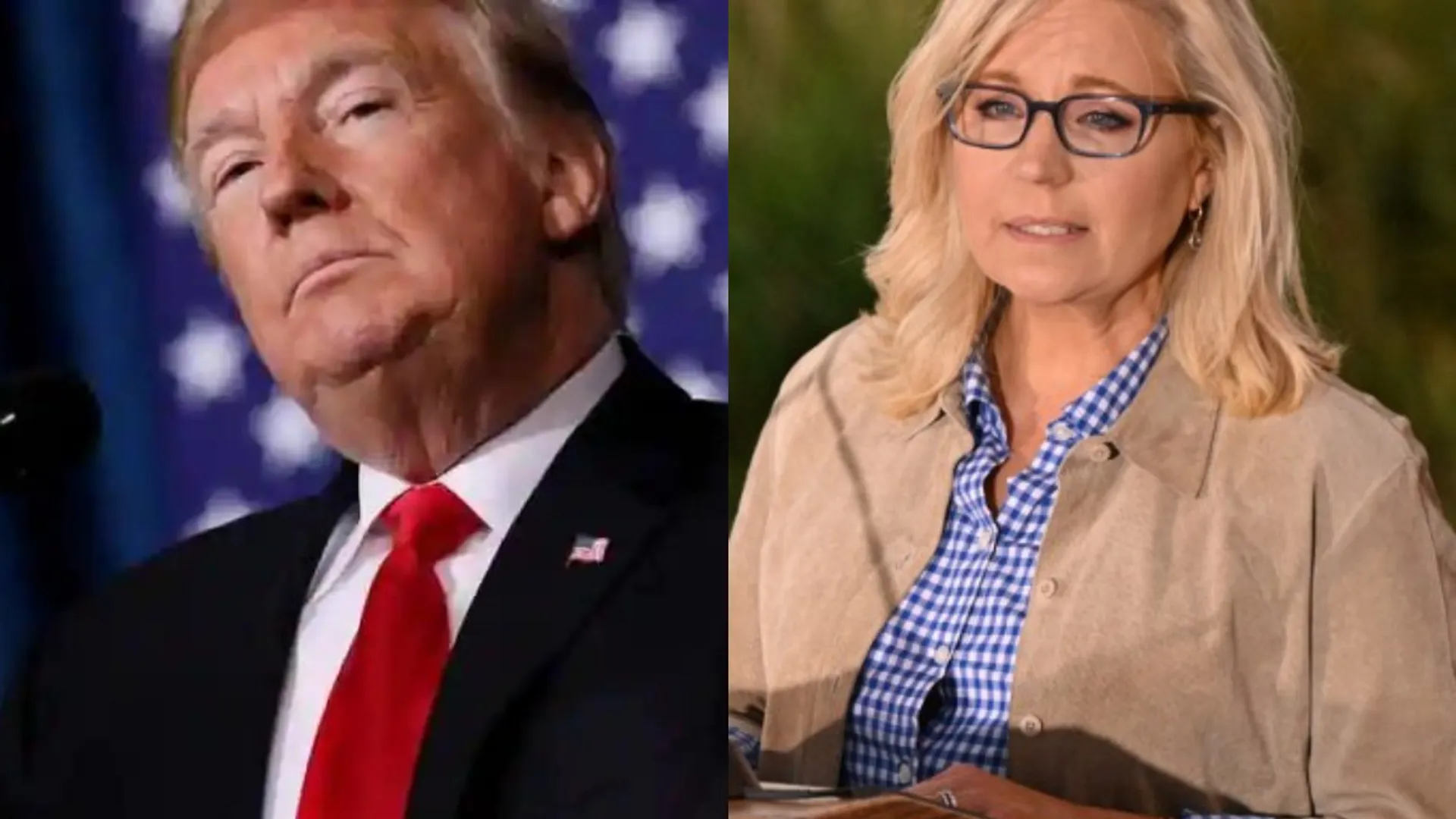 Donald Trumpâs critic Liz Cheney ousted in the Wyoming election