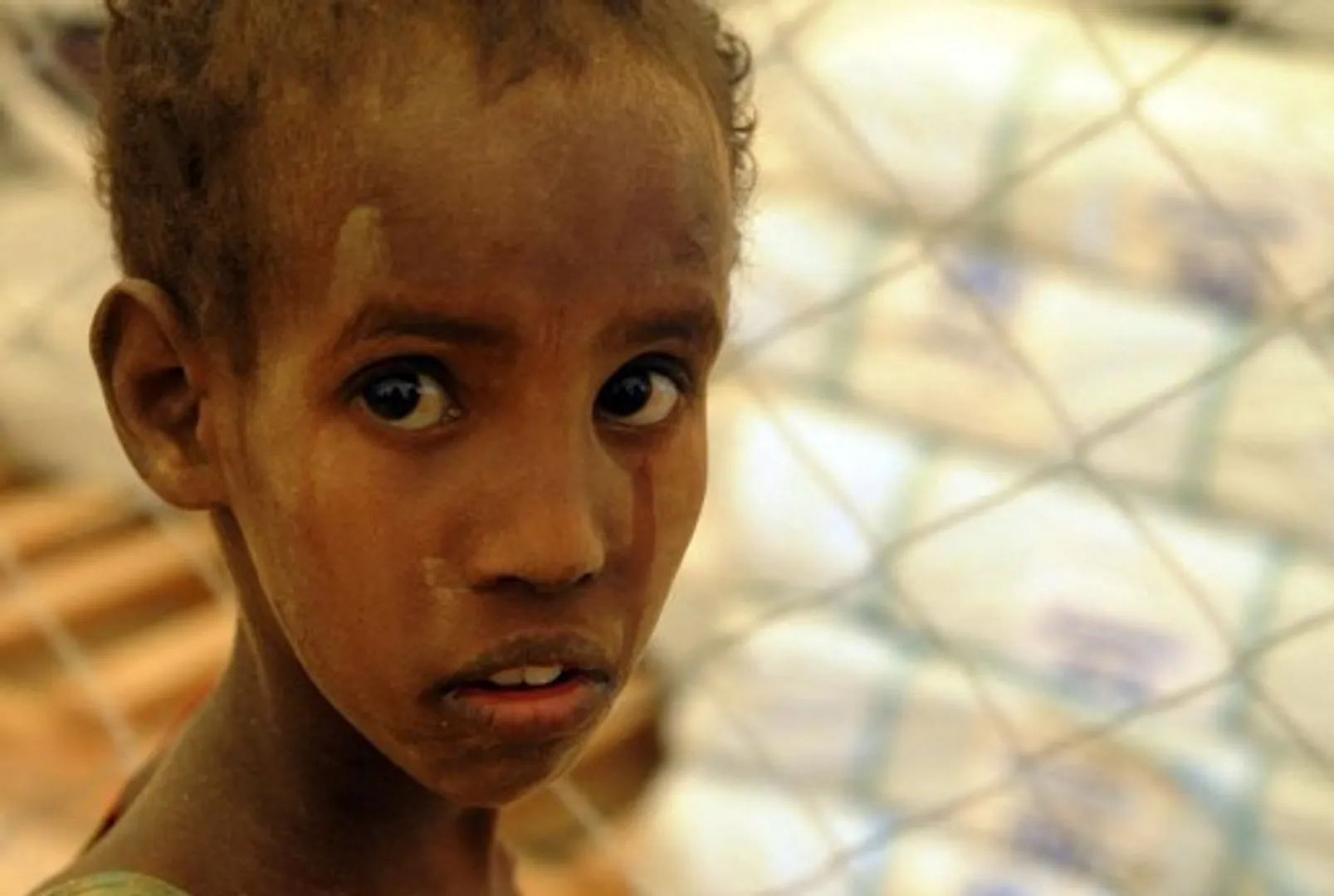 22 million face starvation in Horn of Africa: World Food Programme