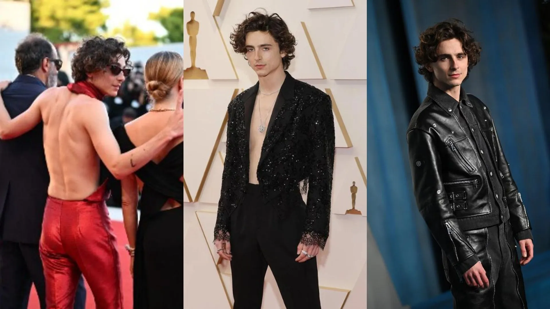 Fashion alert! Timothee Chalamet's most daring red carpet looks till date