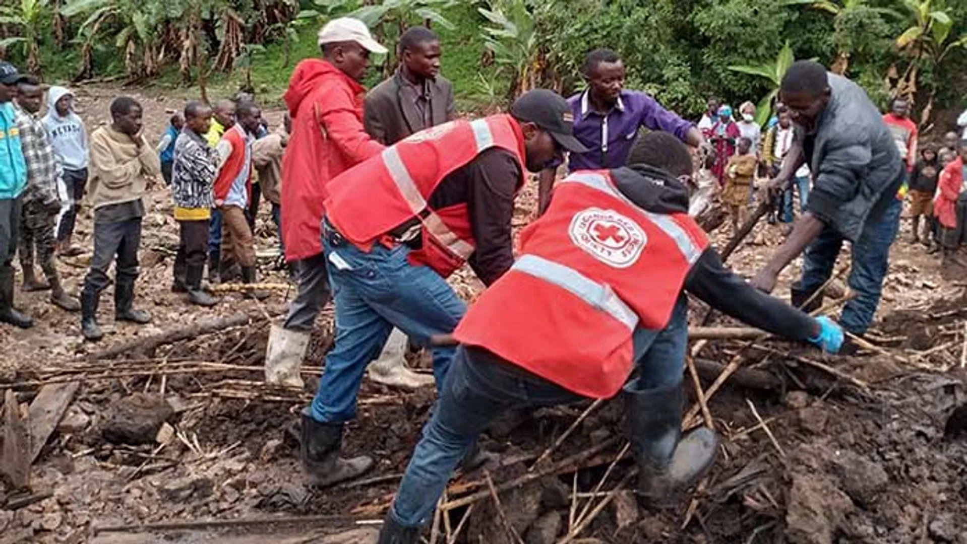 WION Climate Tracker: At least 15 dead in a landslide in a Western Ugandan town