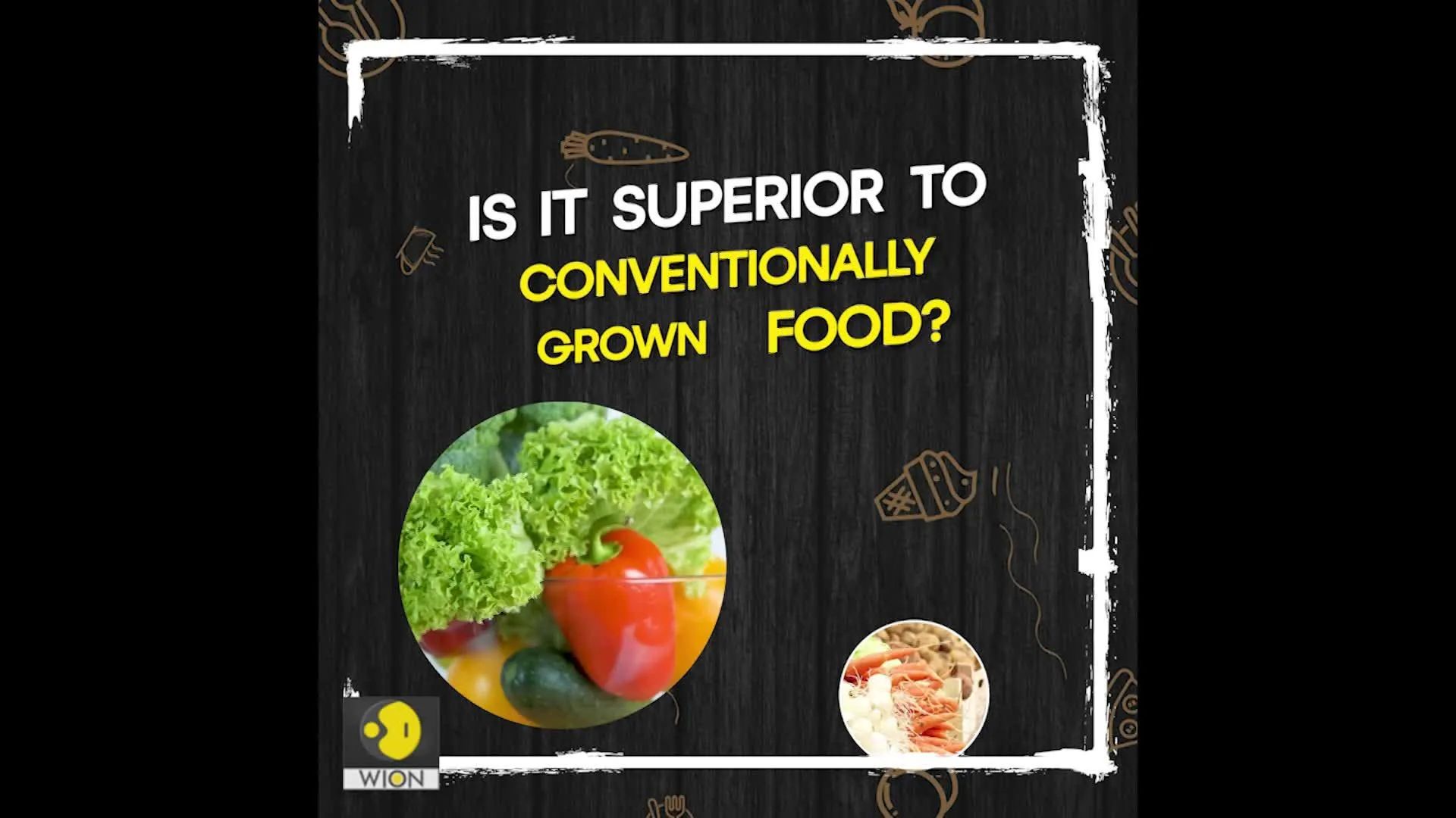 World of Food: Is organic food really healthy? | WION Originals Teaser