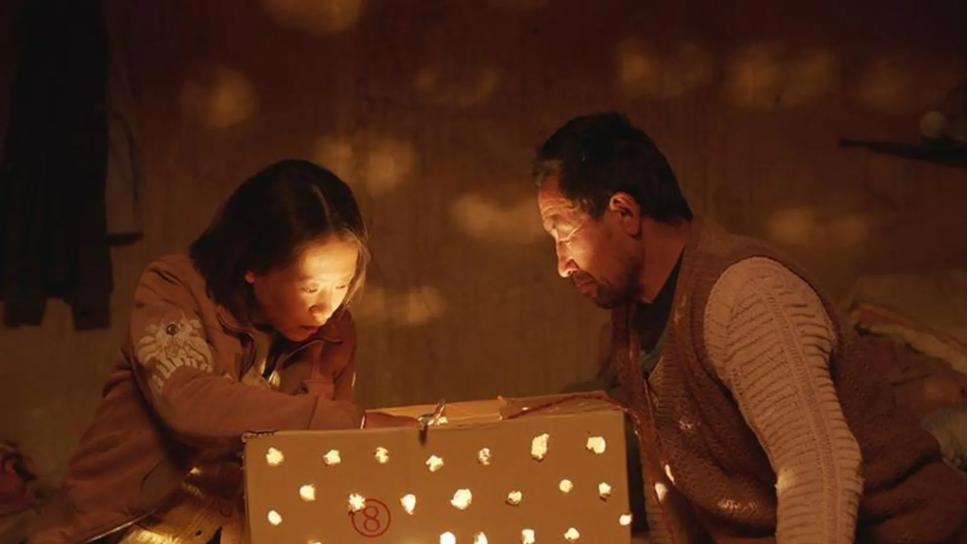 Chinese film 'Return to Dust' disappears from cinemas, OTT platforms for this reason