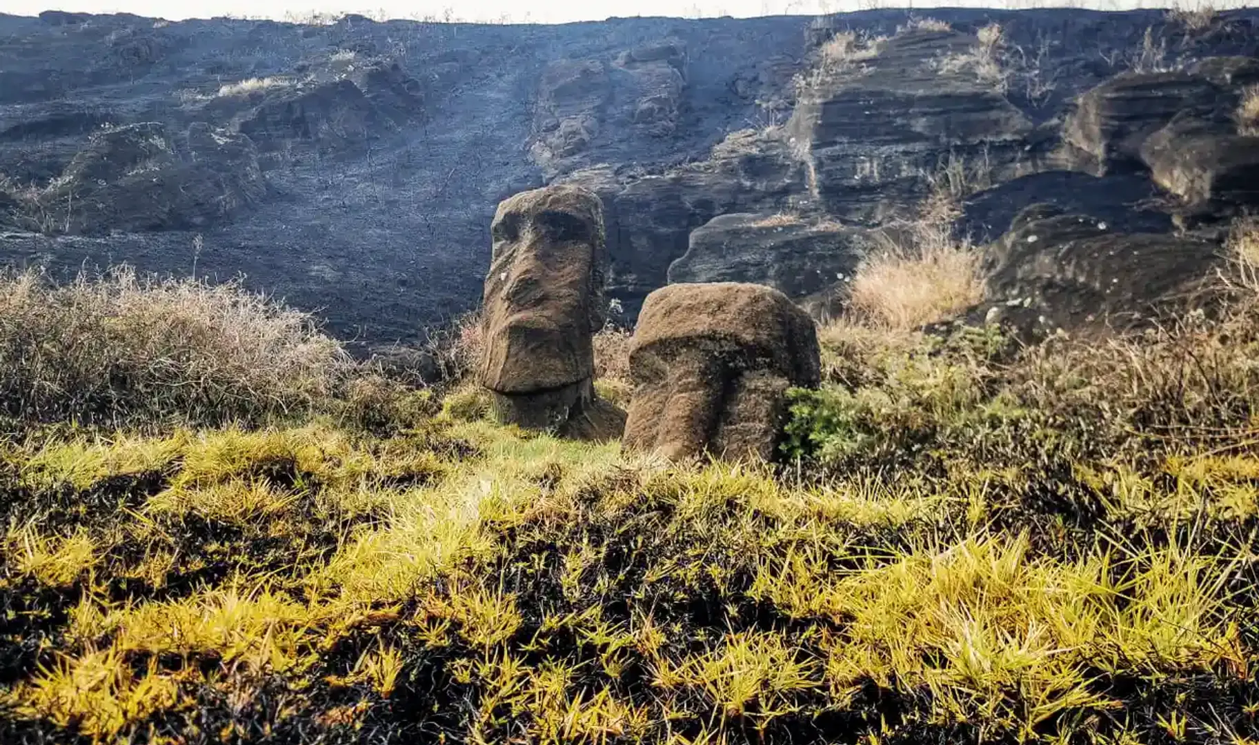Famous Moai statues 'irreparably' damaged due to Easter Island fire