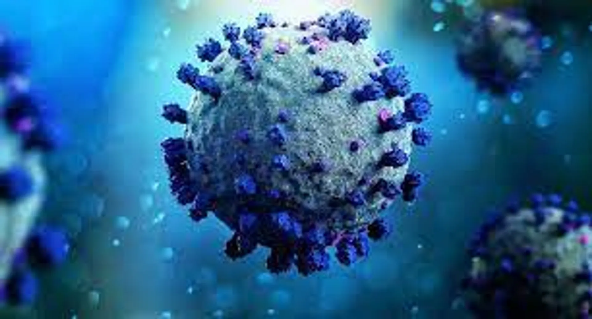 Covid-19 splinters into multiple variants; What is the XBB covid strain?