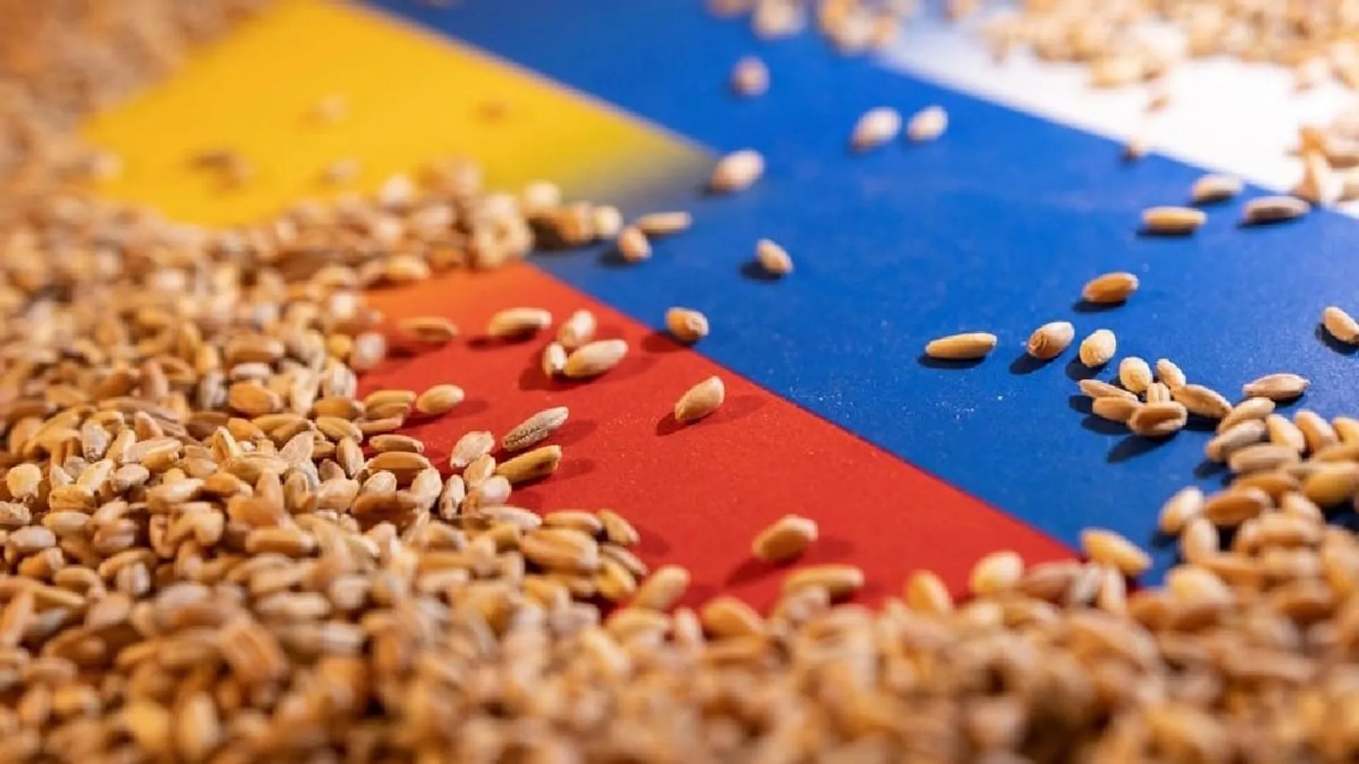 Russia resumes support for Ukraineâs grain corridor as Turkey guarantees shipments to Africa first