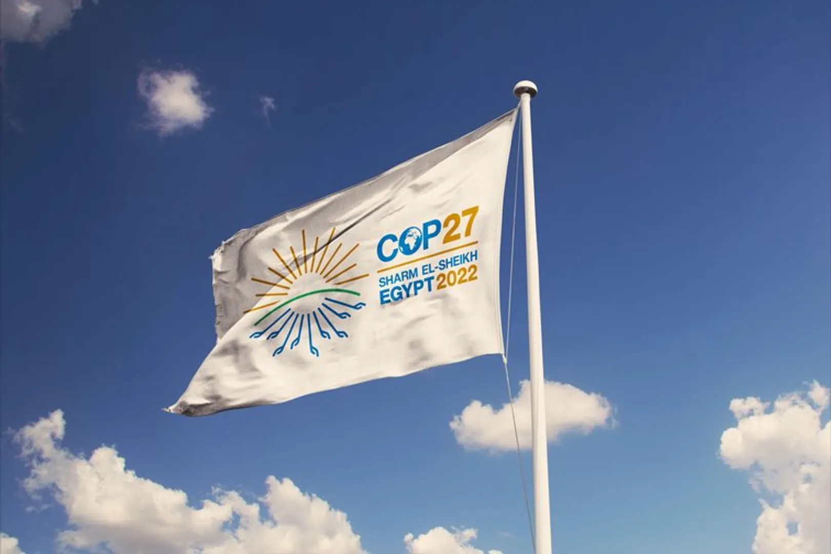 WION Climate Tracker: Scientists ask COP27 PR agency to lose fossil fuel clients