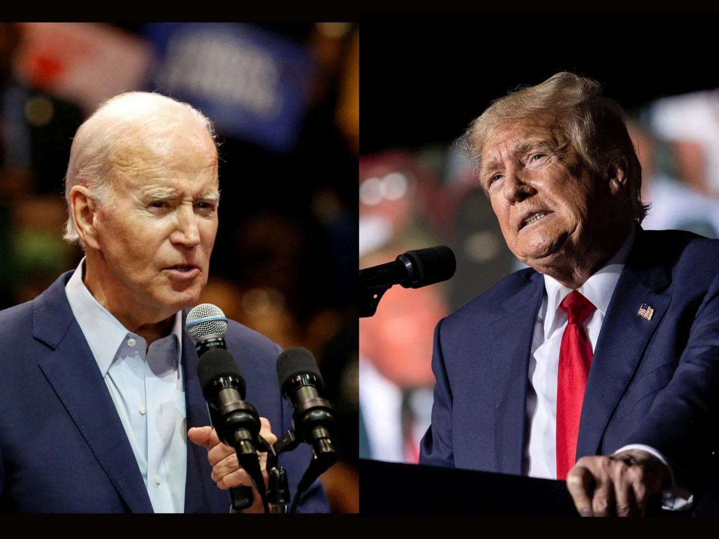 What do U.S. Midterm Elections decide?