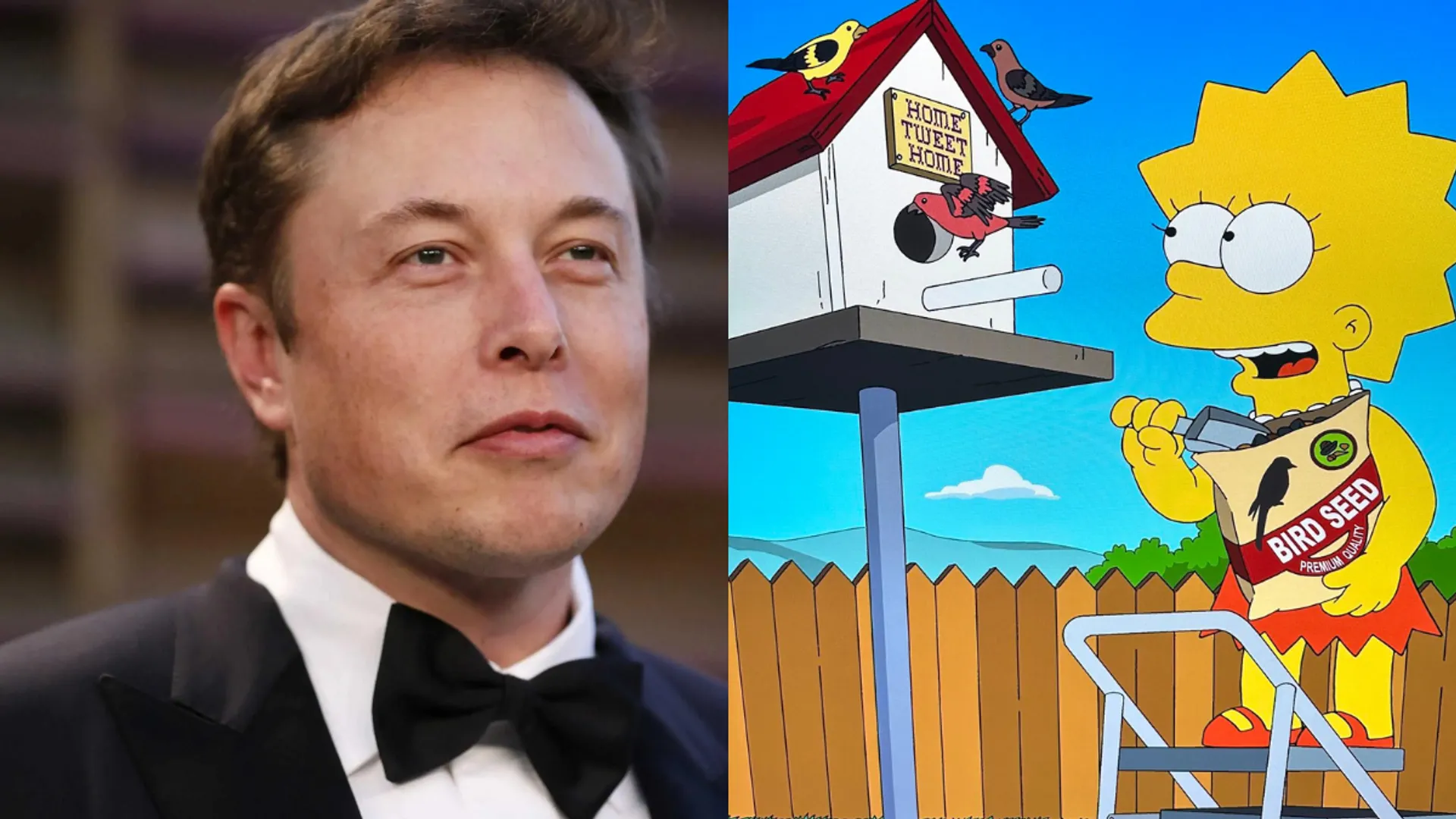 Did 'The Simpsons' predict Elon Musk's Twitter takeover? Here'sÂ whatÂ weÂ know