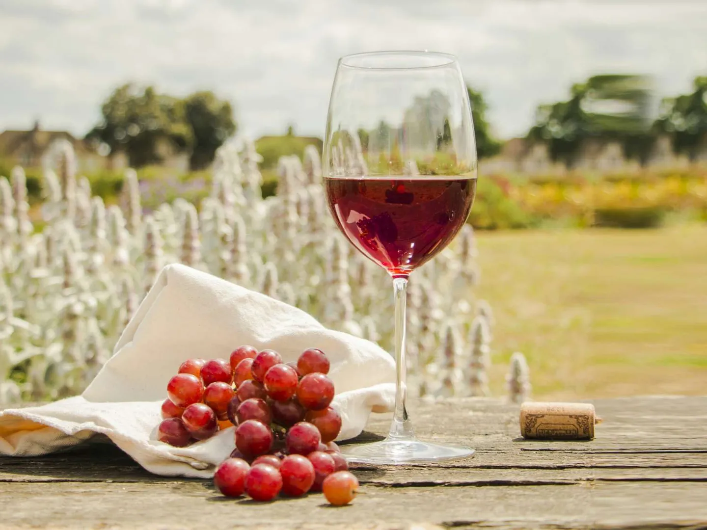 WION Fineprint: Tea & wine may slow down memory decline