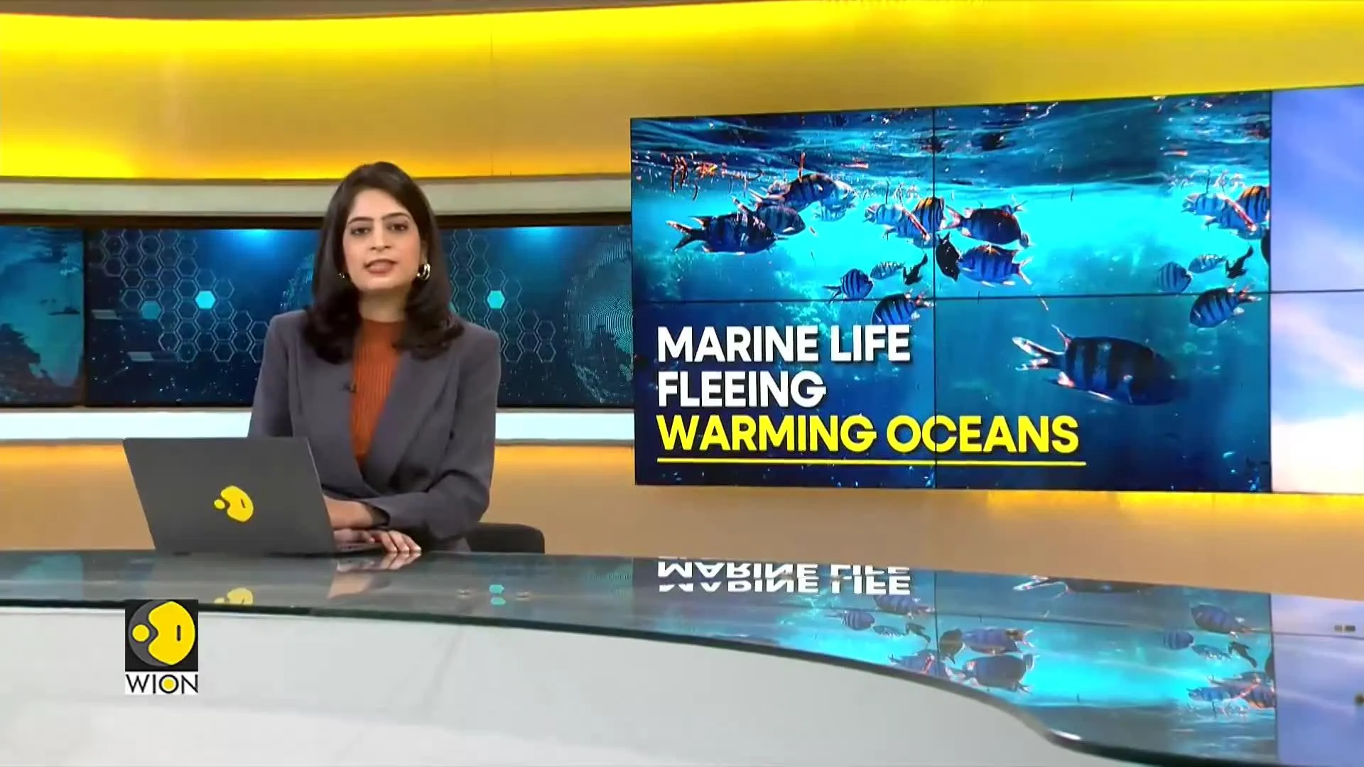 WION Climate Tracker: Marine life flee warming oceans; climate change heats planet's seas