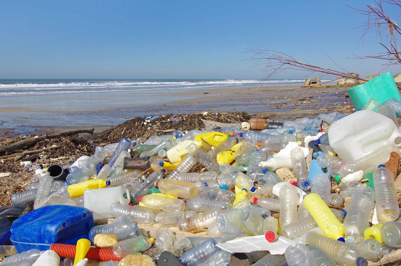 WION Climate Tracker | Global brands fail to tackle plastic waste?