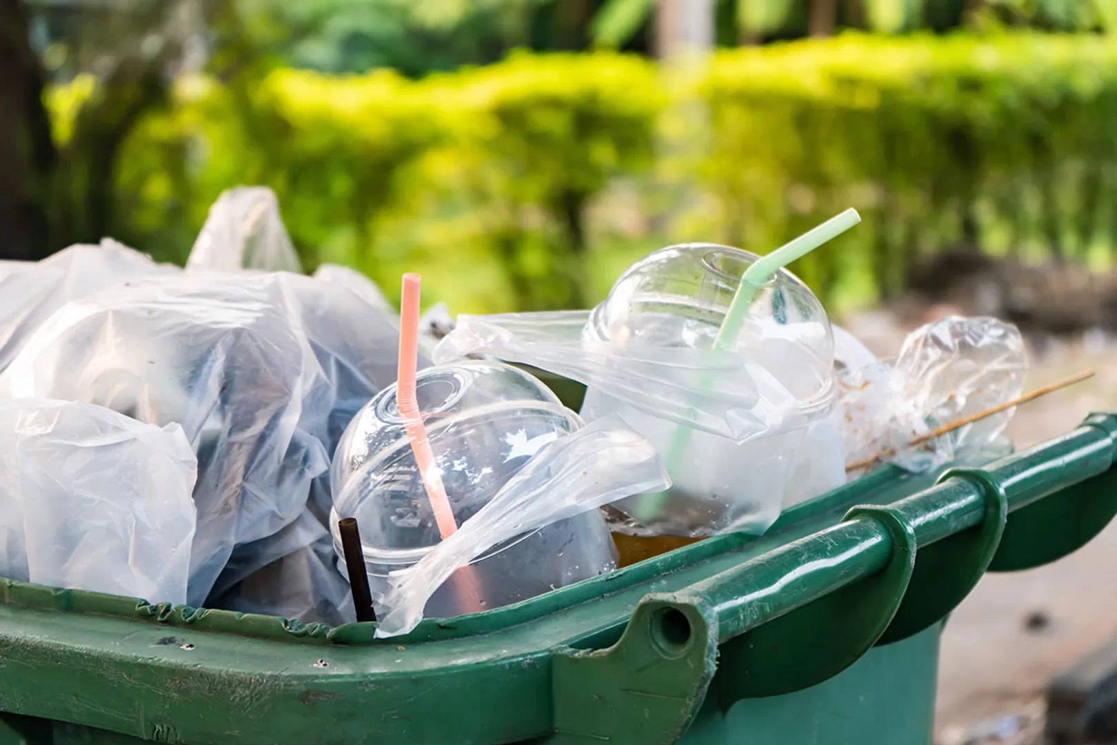 WION Climate Tracker: UK government eyes ban on single-use plastic permanently soon