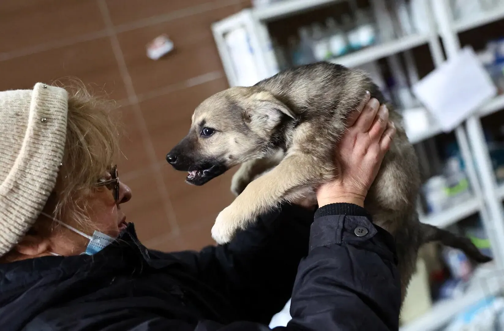 Ukraine: Animal-lover to the rescue, woman lives in basement with 67 dogs