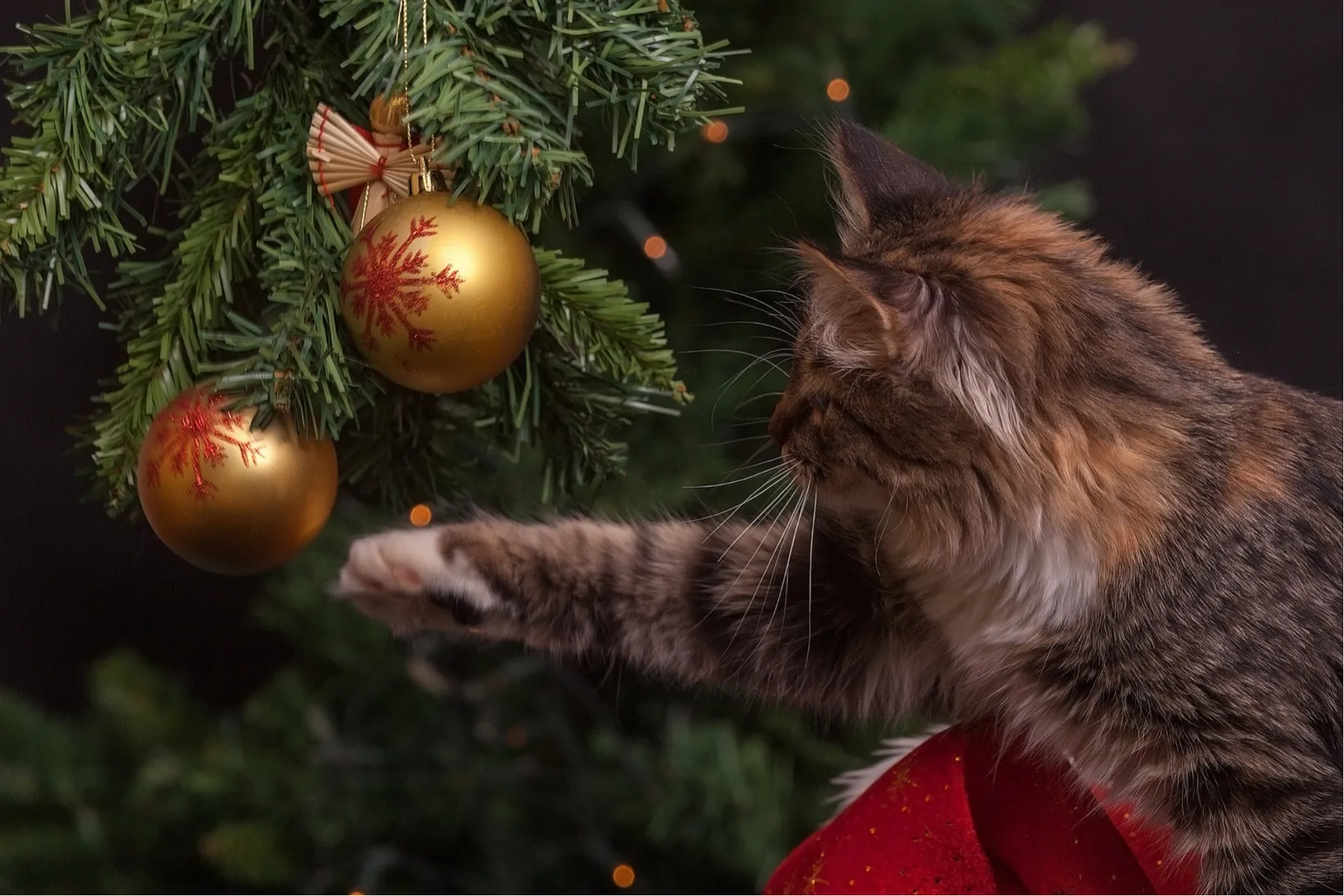 These 10 MAGNIFICENT Christmas 2022 tree decor ideas will have you awestruck !