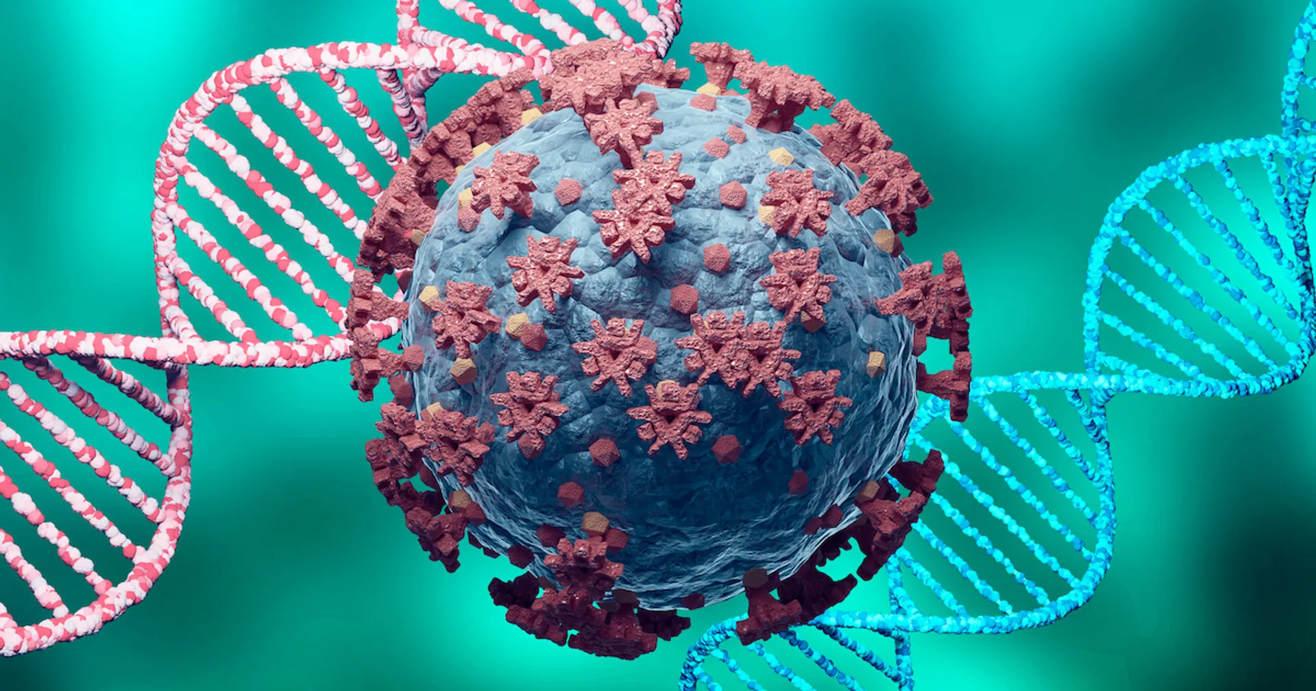 What causes the creation of new virus variants?