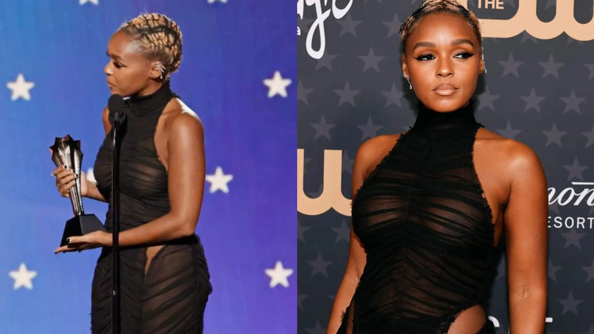 Janelle MonÃ¡e delivers powerful speech at Critics' Choice Awards; celebrates her queerness