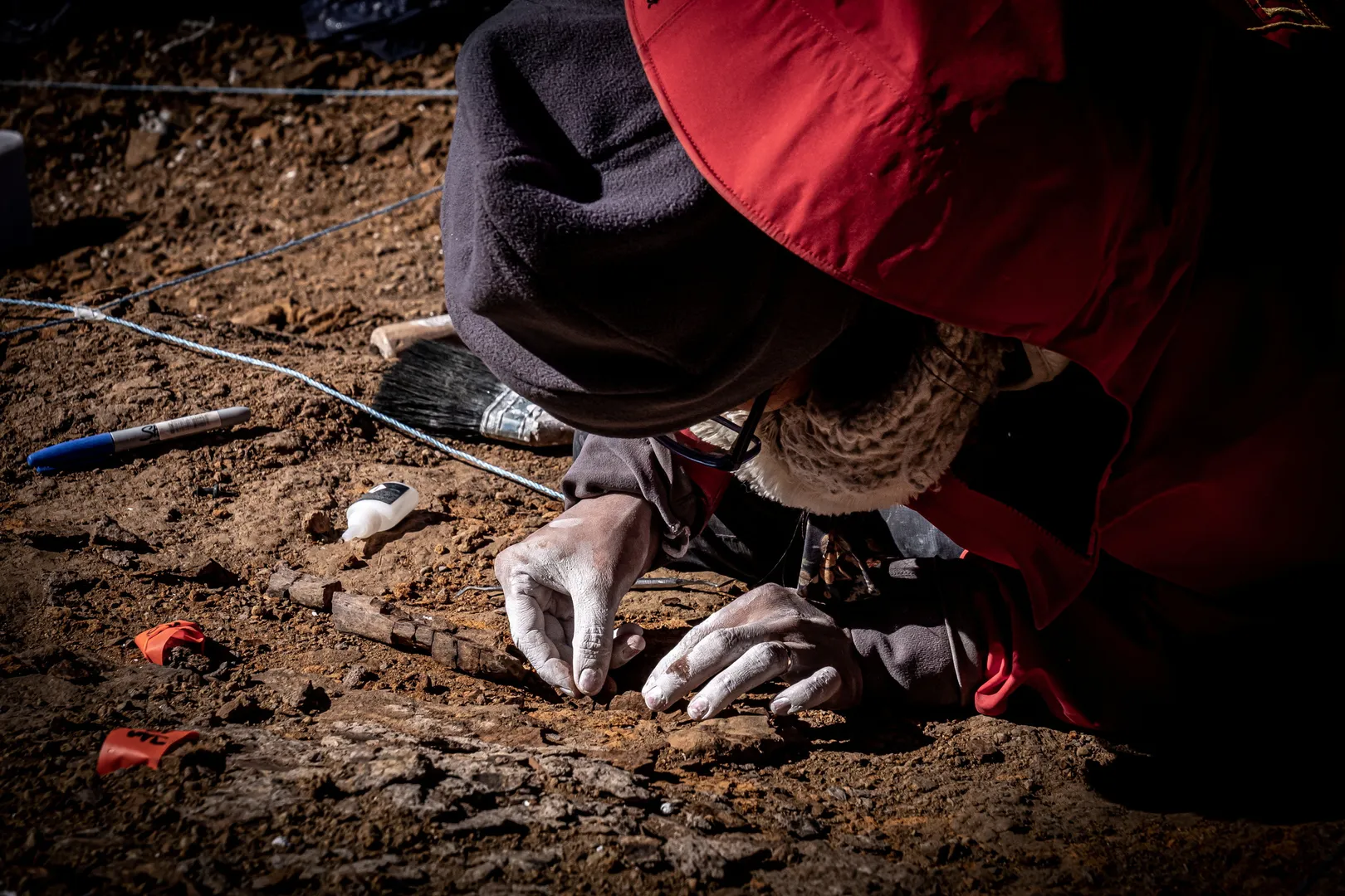 Chile: Scientists exhume megaraptors, feathered dinosaur fossils in Patagonia