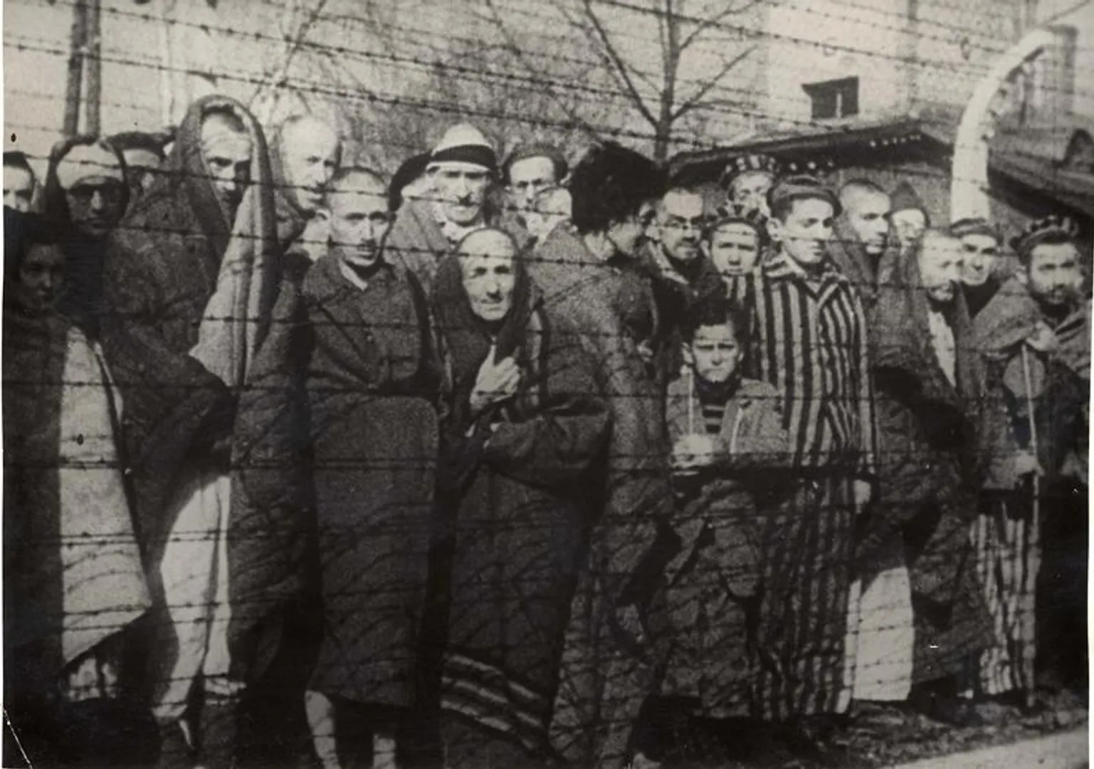 International Holocaust Remembrance Day: History, theme, significance, everything you need to know