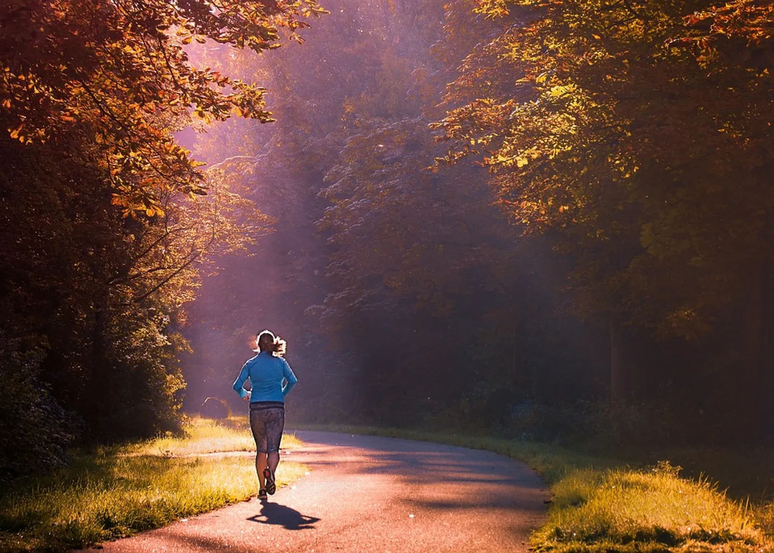 11 minutes of daily walk could prevent 1 in 10 early deaths: Study
