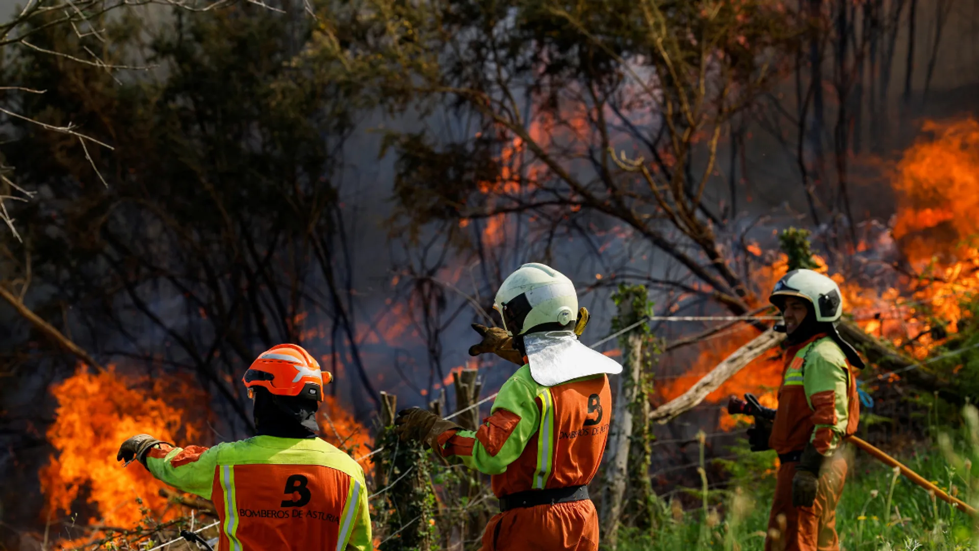 Spain’s Asturias battles over 90 wildfires; authorities say blazes intentionally sparked by ‘fire terrorists’