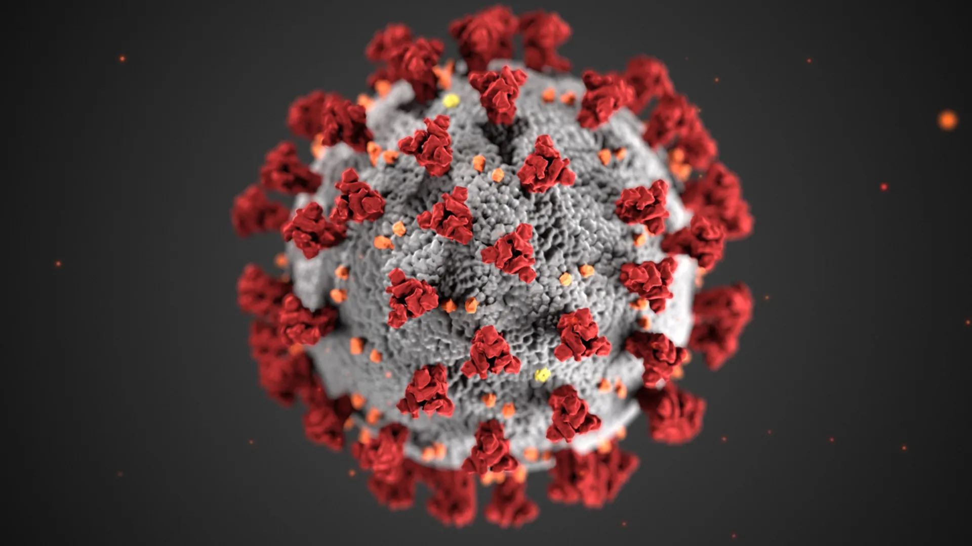 COVID-19 deaths have dropped by 95%, but virus is here to stay: WHO
