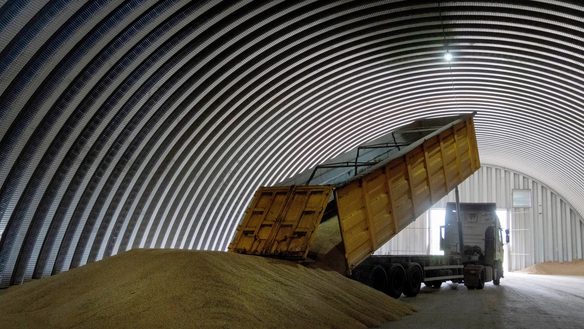 Poland, Hungary ban food imports from Ukraine to shield local farmers