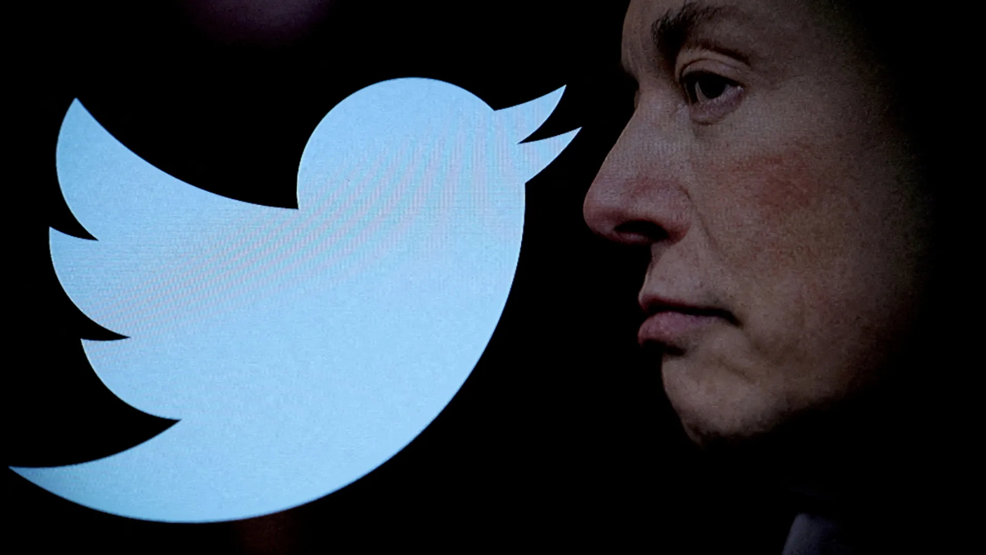 Elon Musk-owned Twitter exits European Union's Disinformation Code