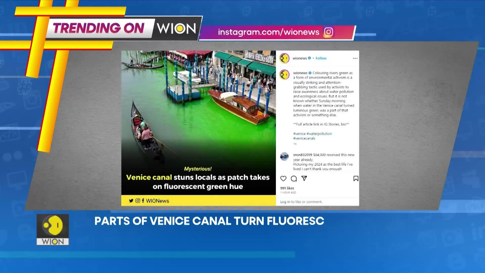 Parts of Venice canal turn fluorescent green, locals stunned | WION Speed News