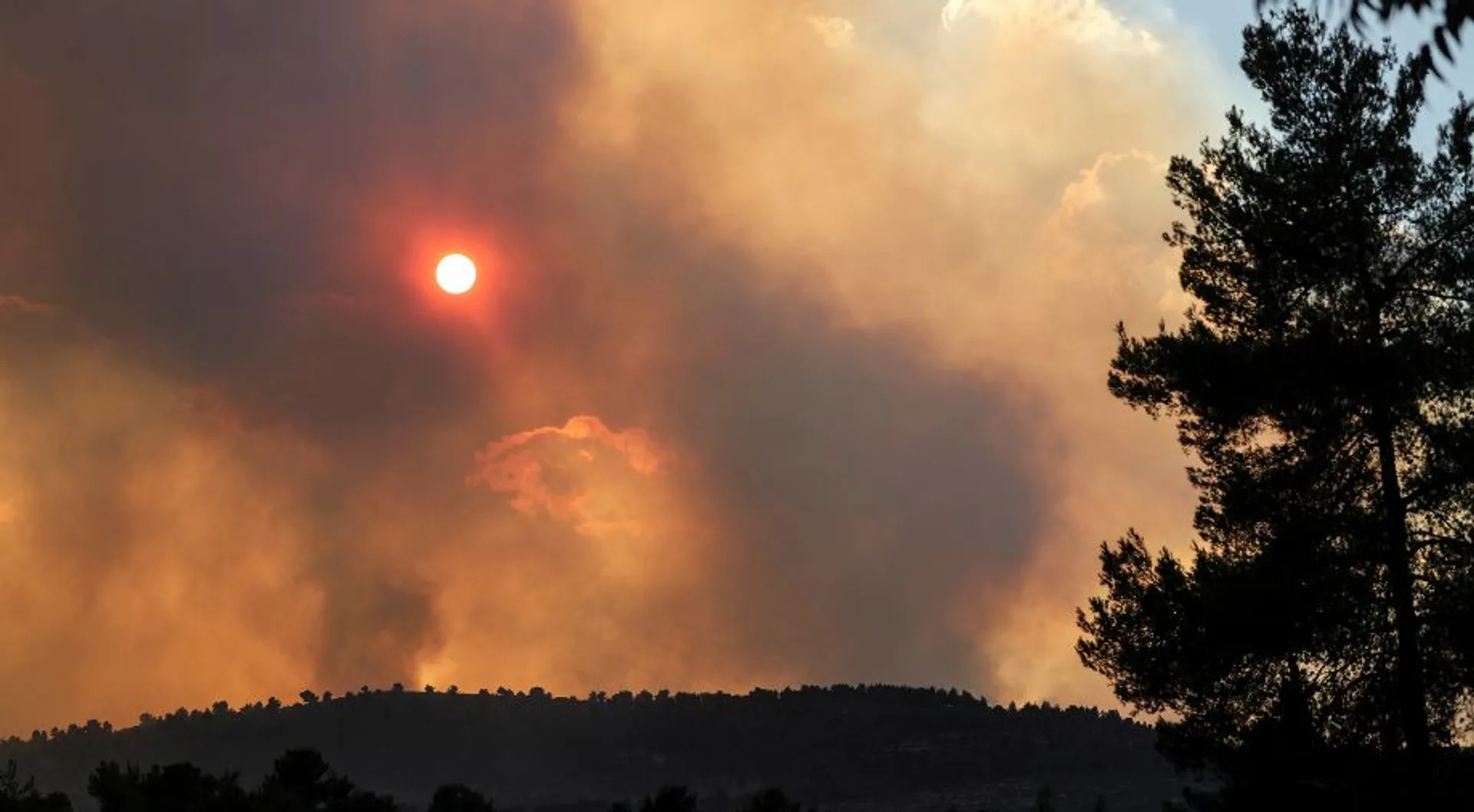 Severe heatwave sears Israel, triggers hundreds of fires across the country