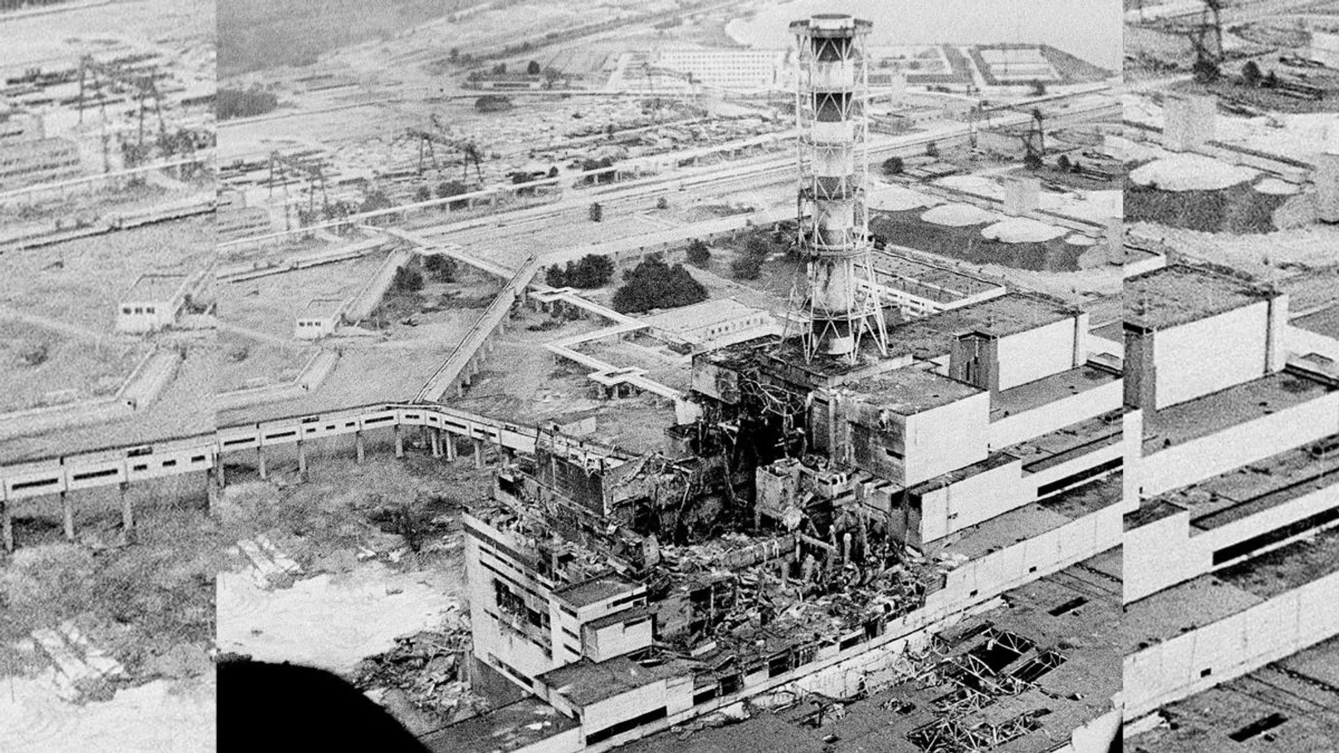 Farmland near Chernobyl nuclear disaster site 'safe' to grow crops: Report