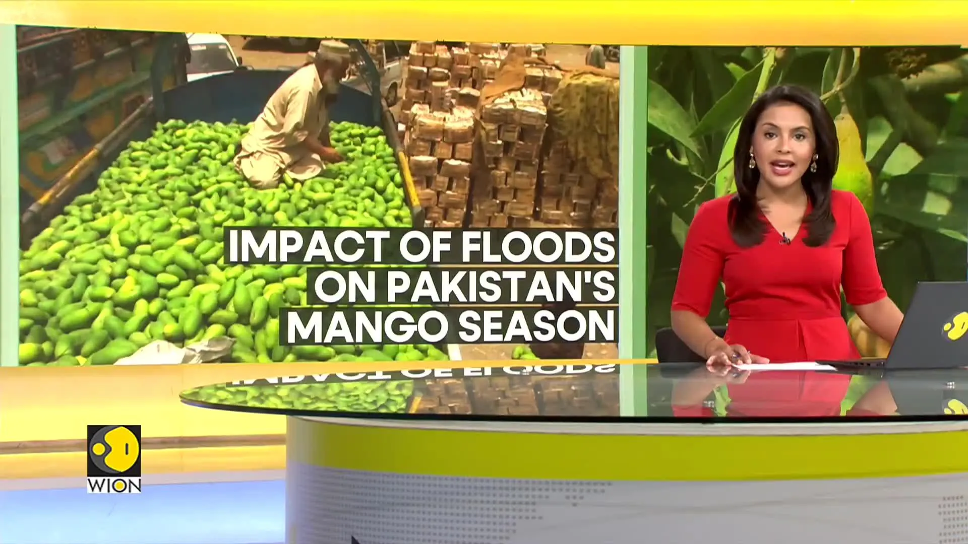 Mango crop yields in Pakistan plummet due to 2022 floods aftermath | WION Climate Tracker