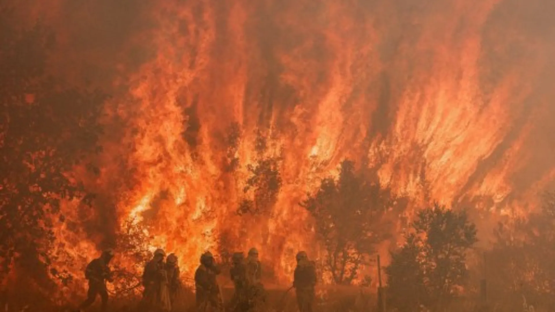 Spain ramps up wildfire defences after last years' wildfires
